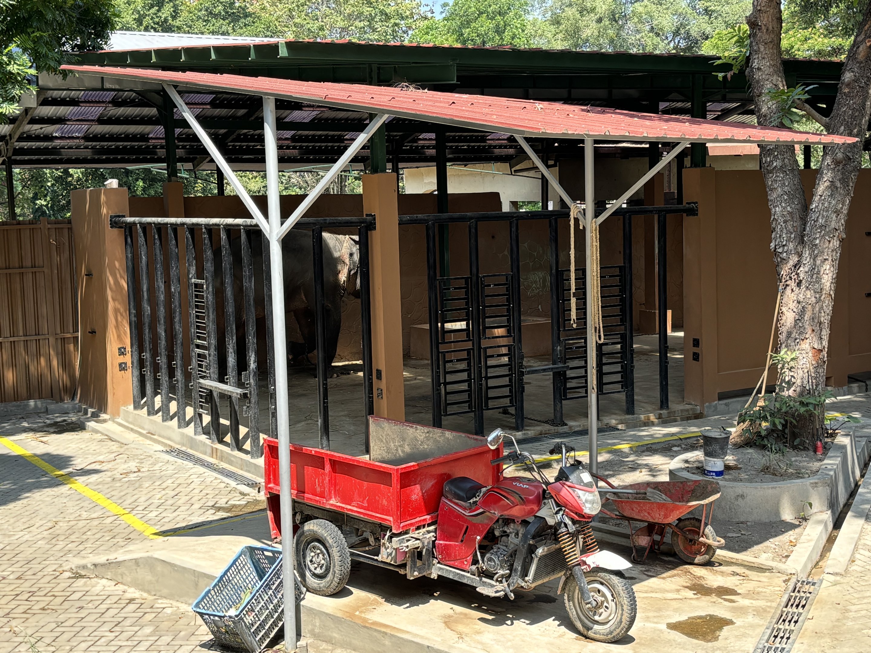 Asian Elephant Barn - exterior view