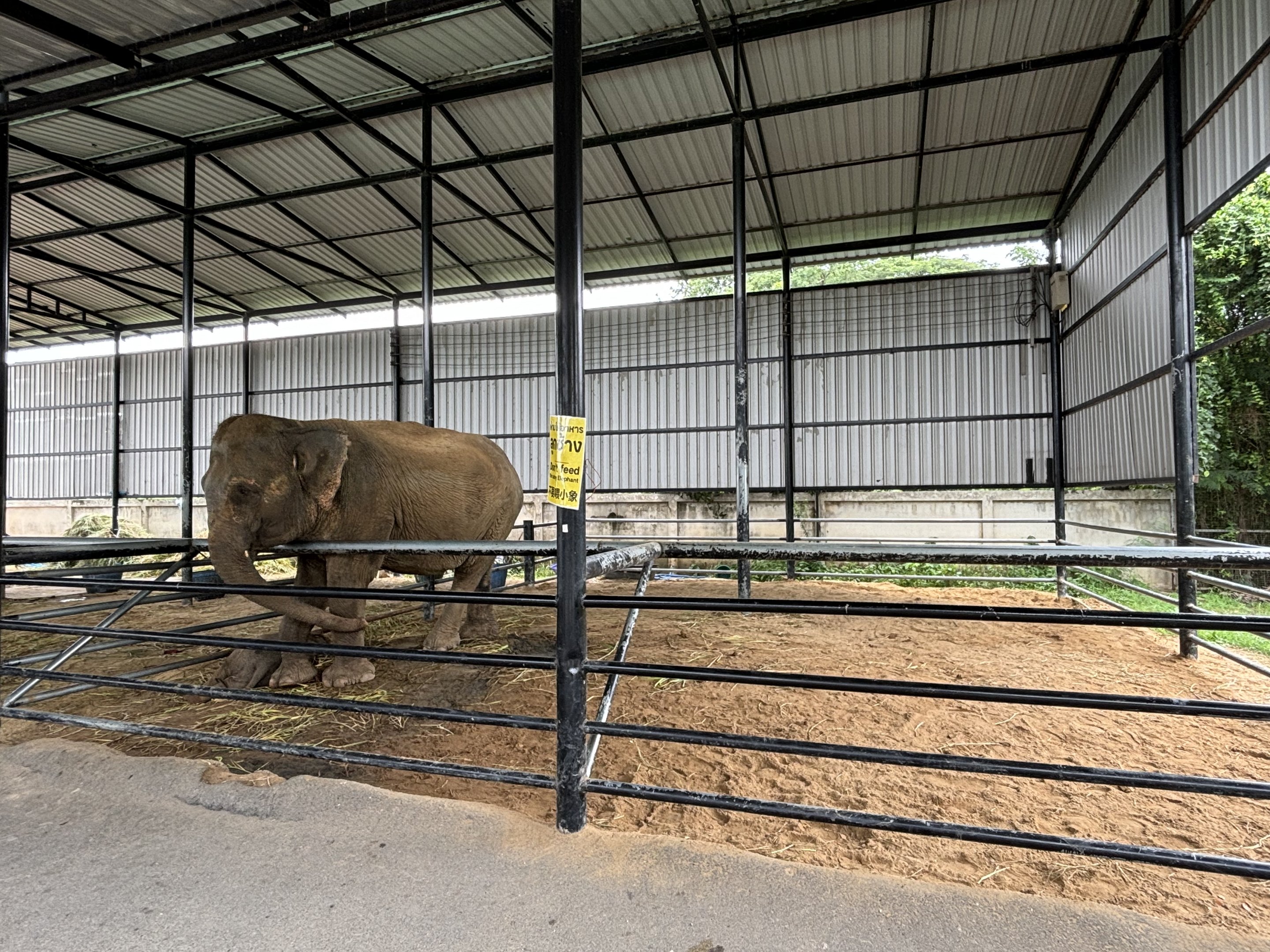 Asian Elephant Barn - Lion Park