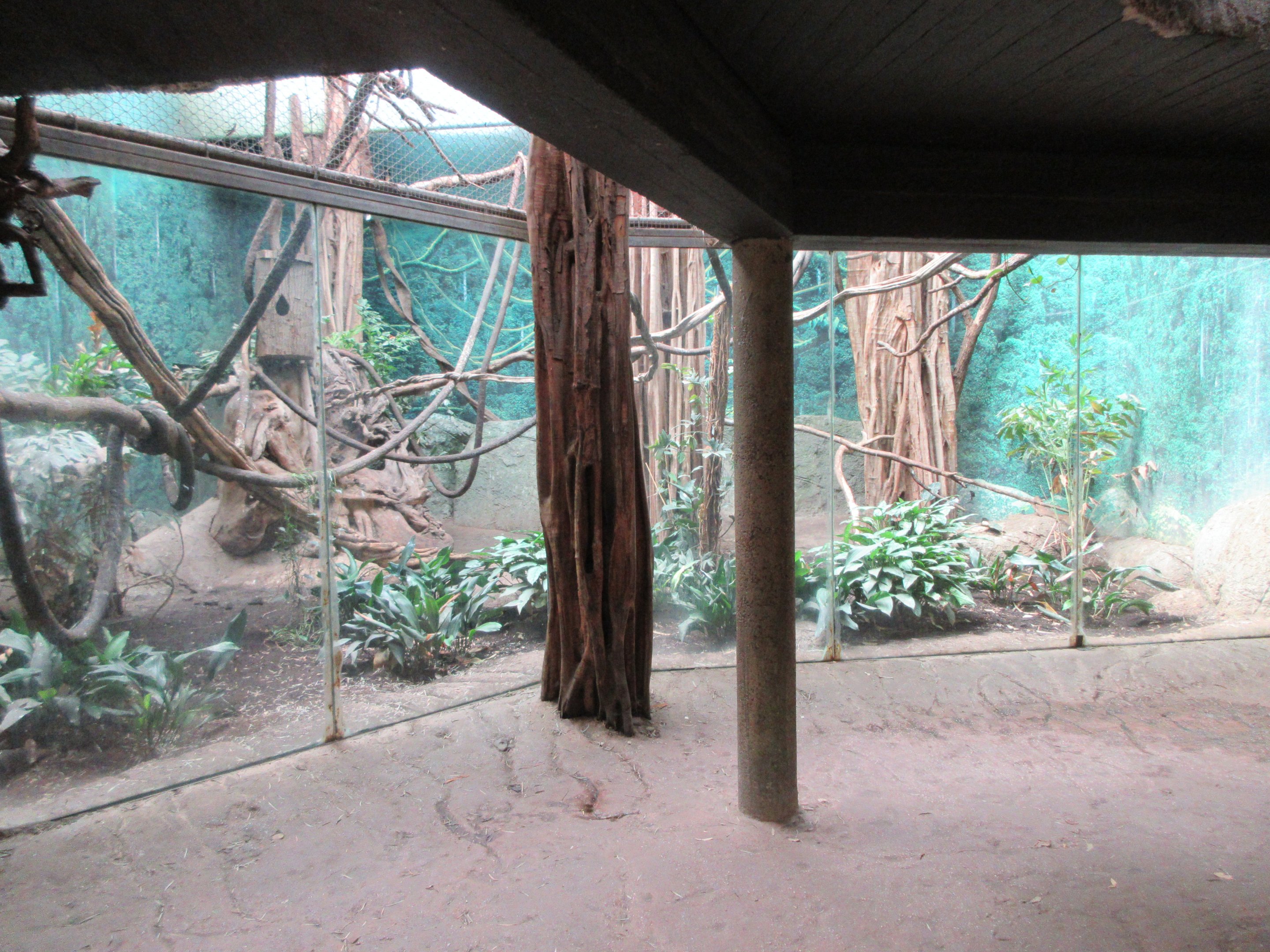Asian Elephant Barn - Wreathed Hornbill Exhibit