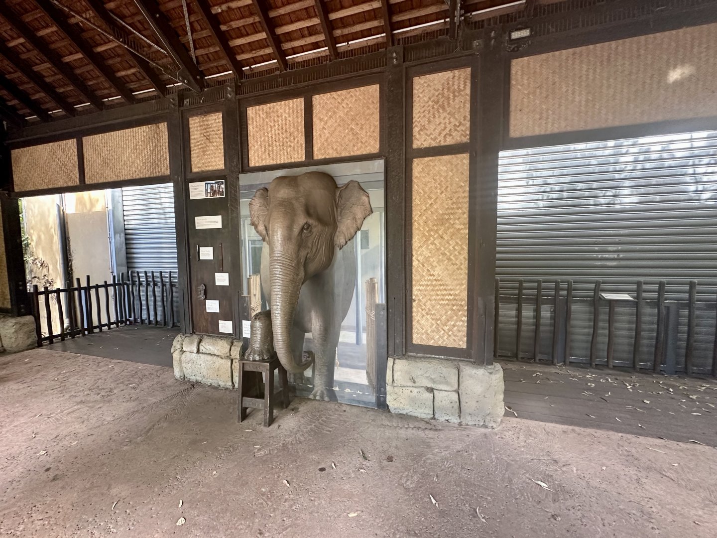 Asian Elephant Barn