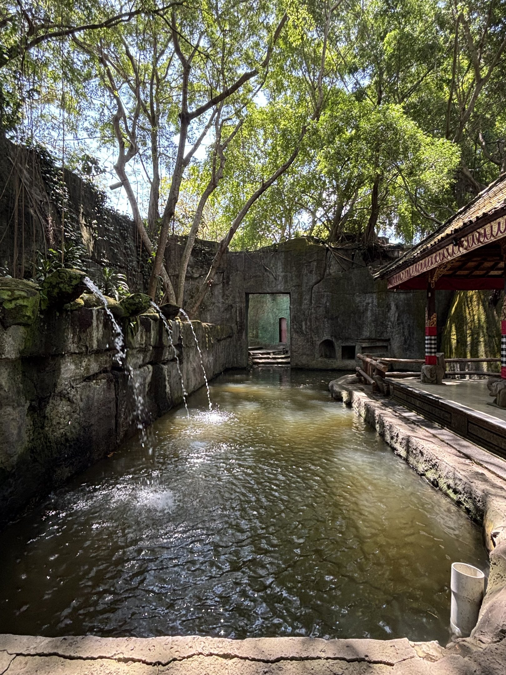 Asian Elephant Bathing Area