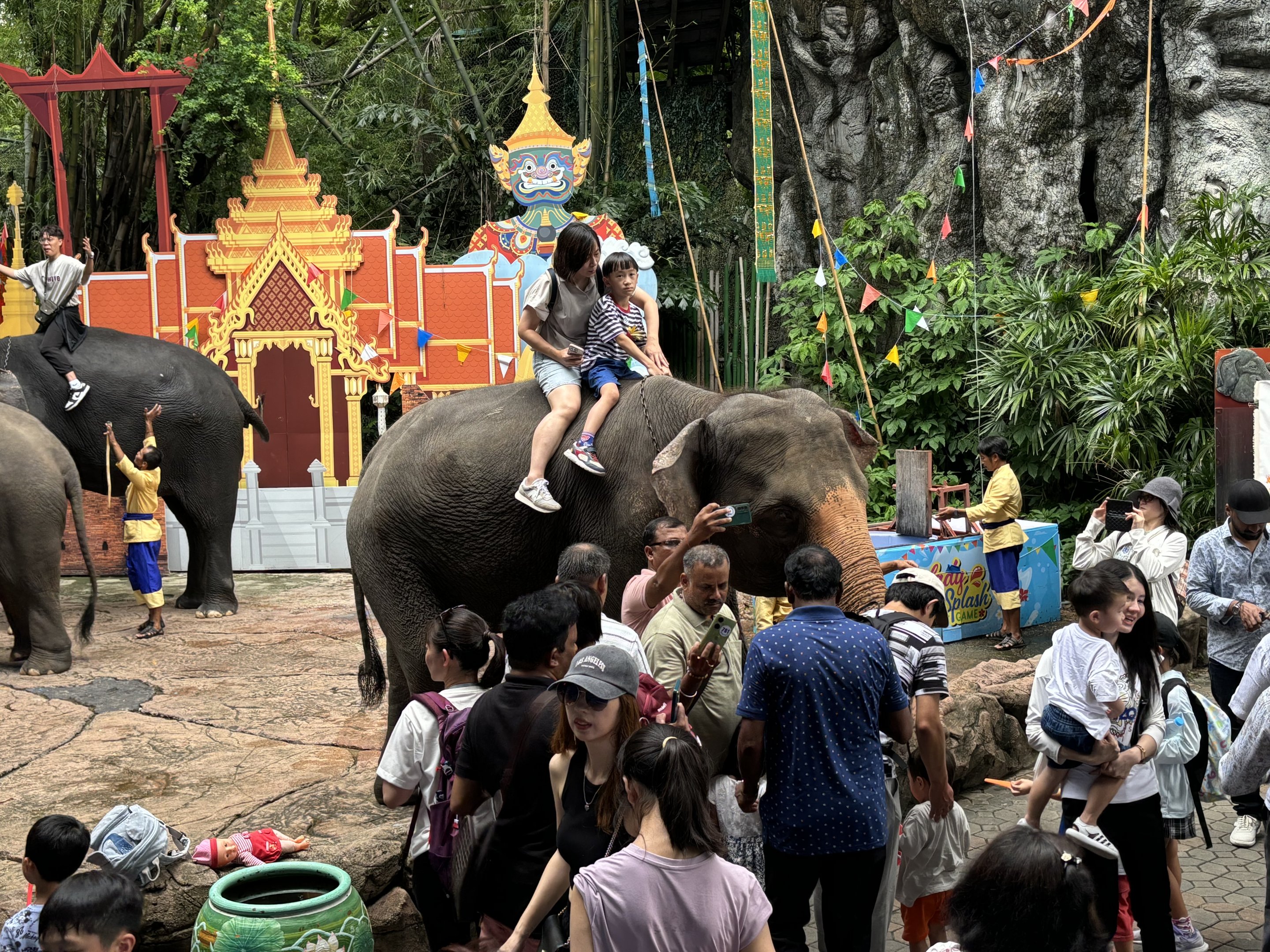 Asian Elephant Bedlam!