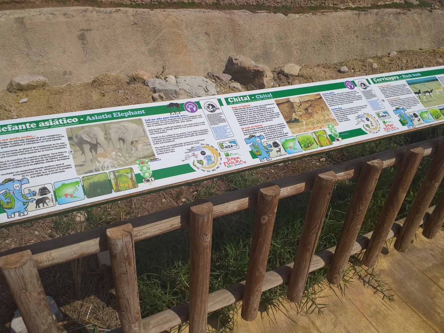 Asian elephant, Blackbuck and Axis signae -TerraNatura Benidorm (2021)