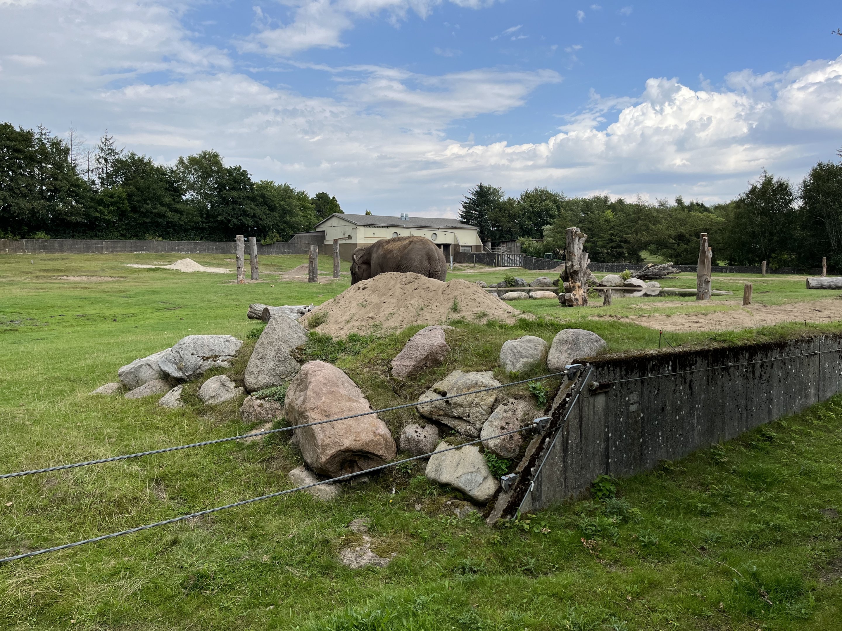 Asian Elephant/Blackbuck Exhibit