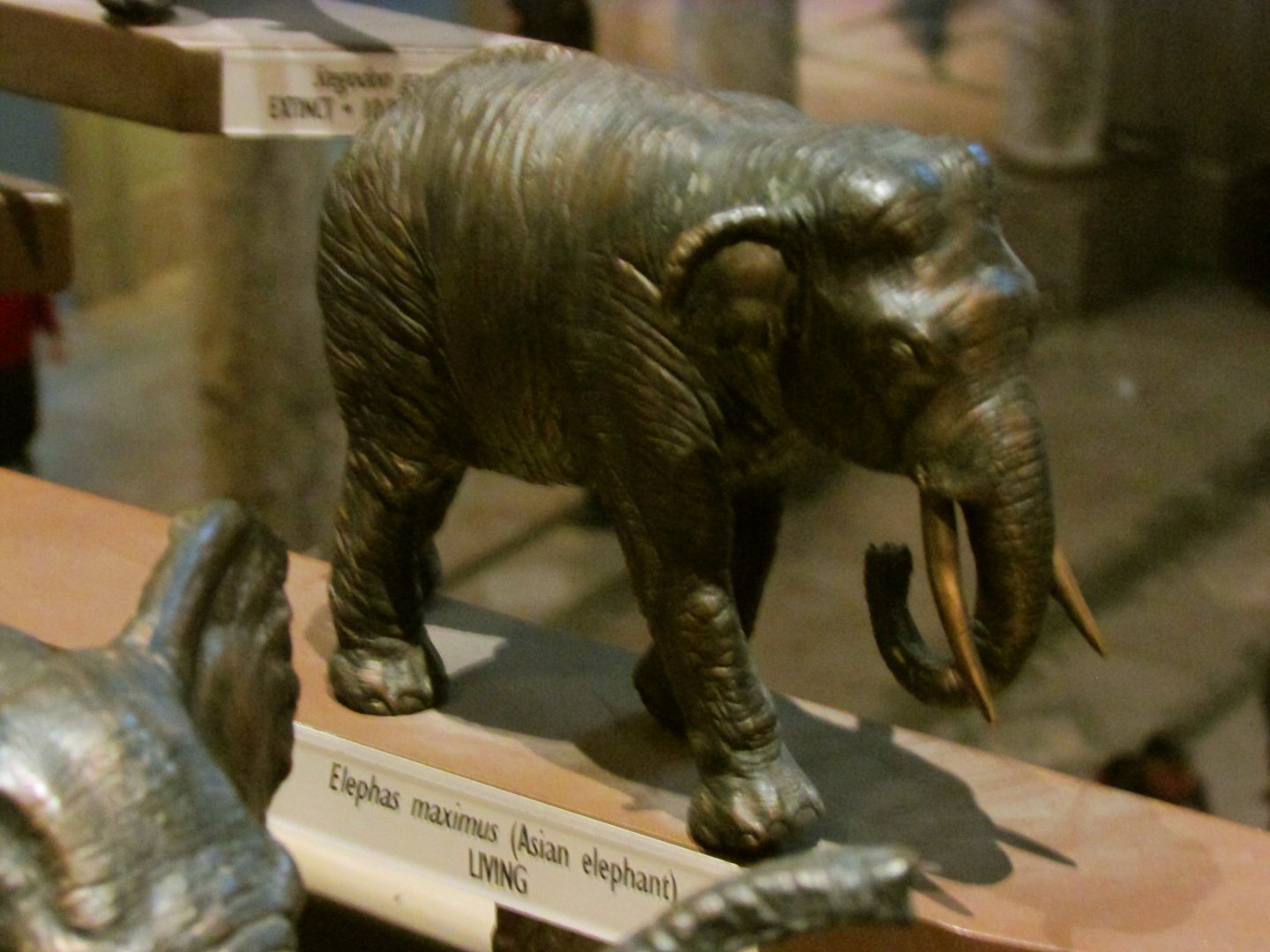 Asian Elephant Bronze Sculpture