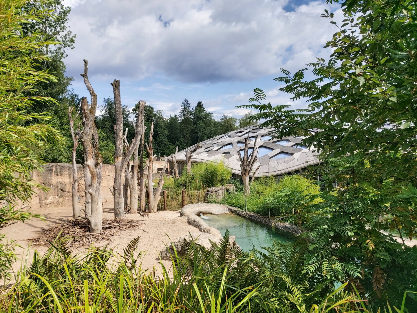 Asian elephant bull enclosure (July 2020)