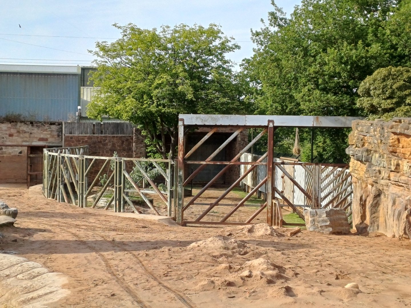 Asian Elephant- Bull enclosure