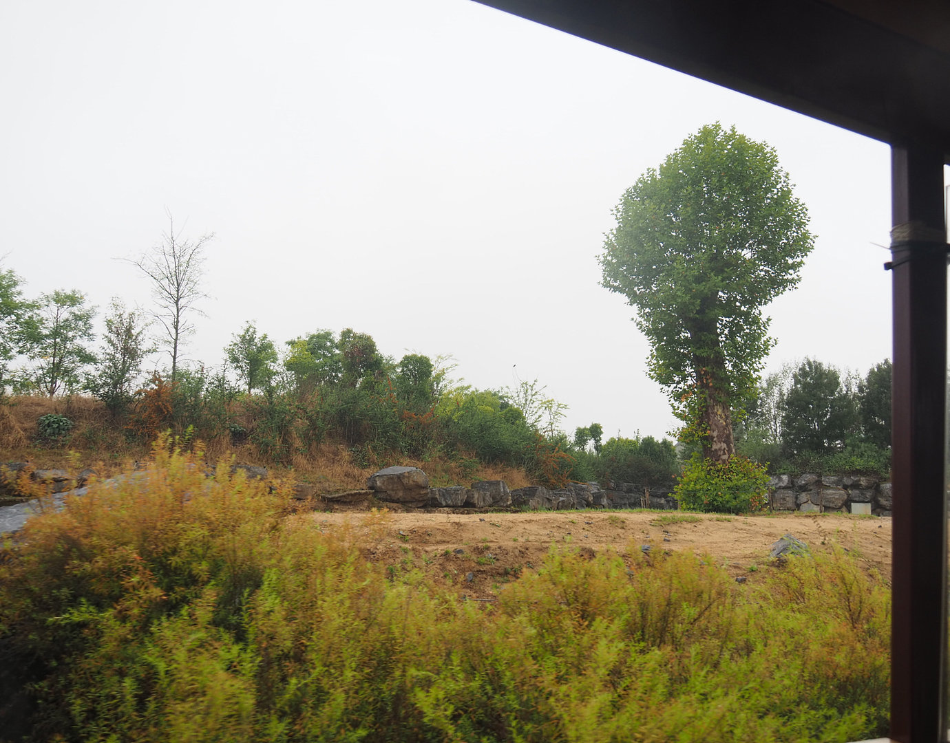 Asian elephant bull paddock seen from the train, 2022-09-14