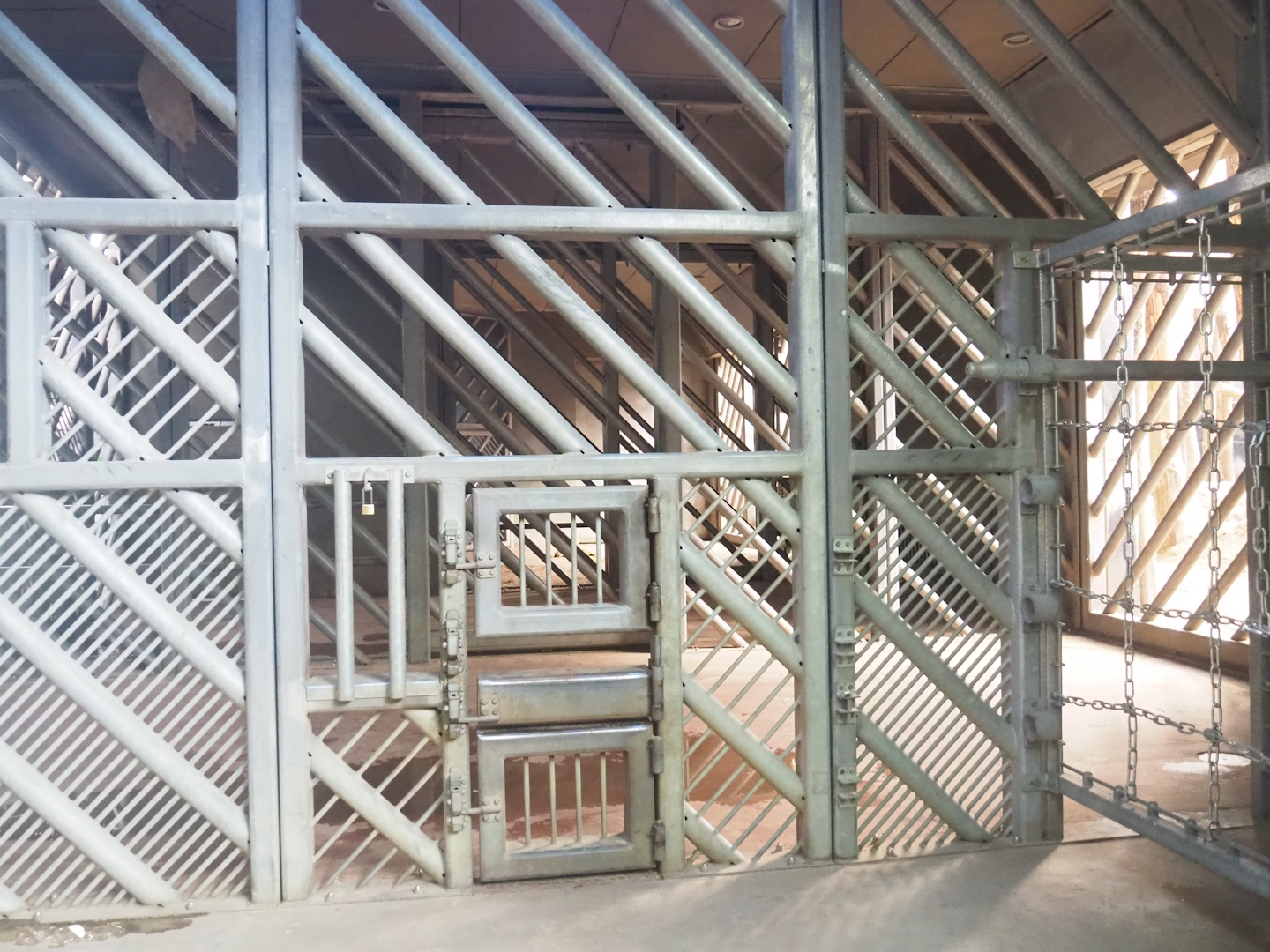 Asian elephant care and separation stalls, 2023-09-24