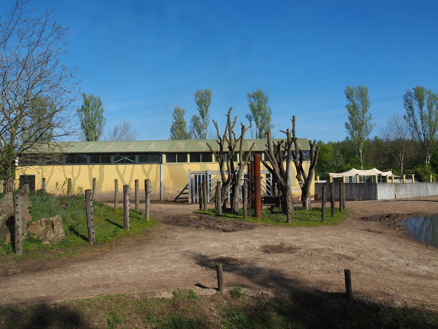 Asian elephant, Chital, Red deer and Crab-eating macaque exhibit, 2023-04-30