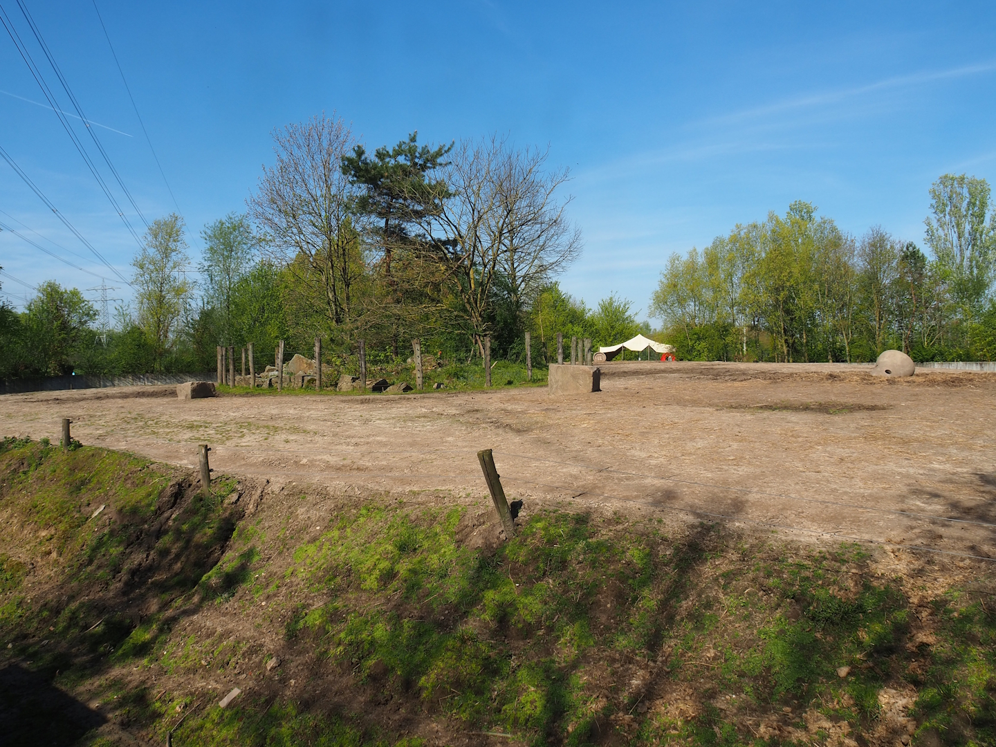 Asian elephant, Chital, Red deer and Crab-eating macaque exhibit, 2023-04-30