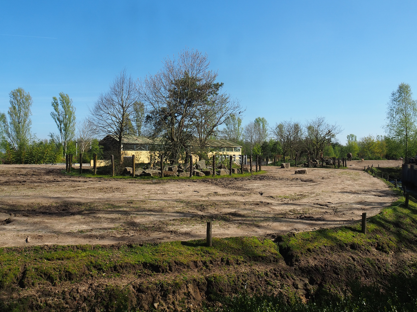 Asian elephant, Chital, Red deer and Crab-eating macaque exhibit, 2023-04-30