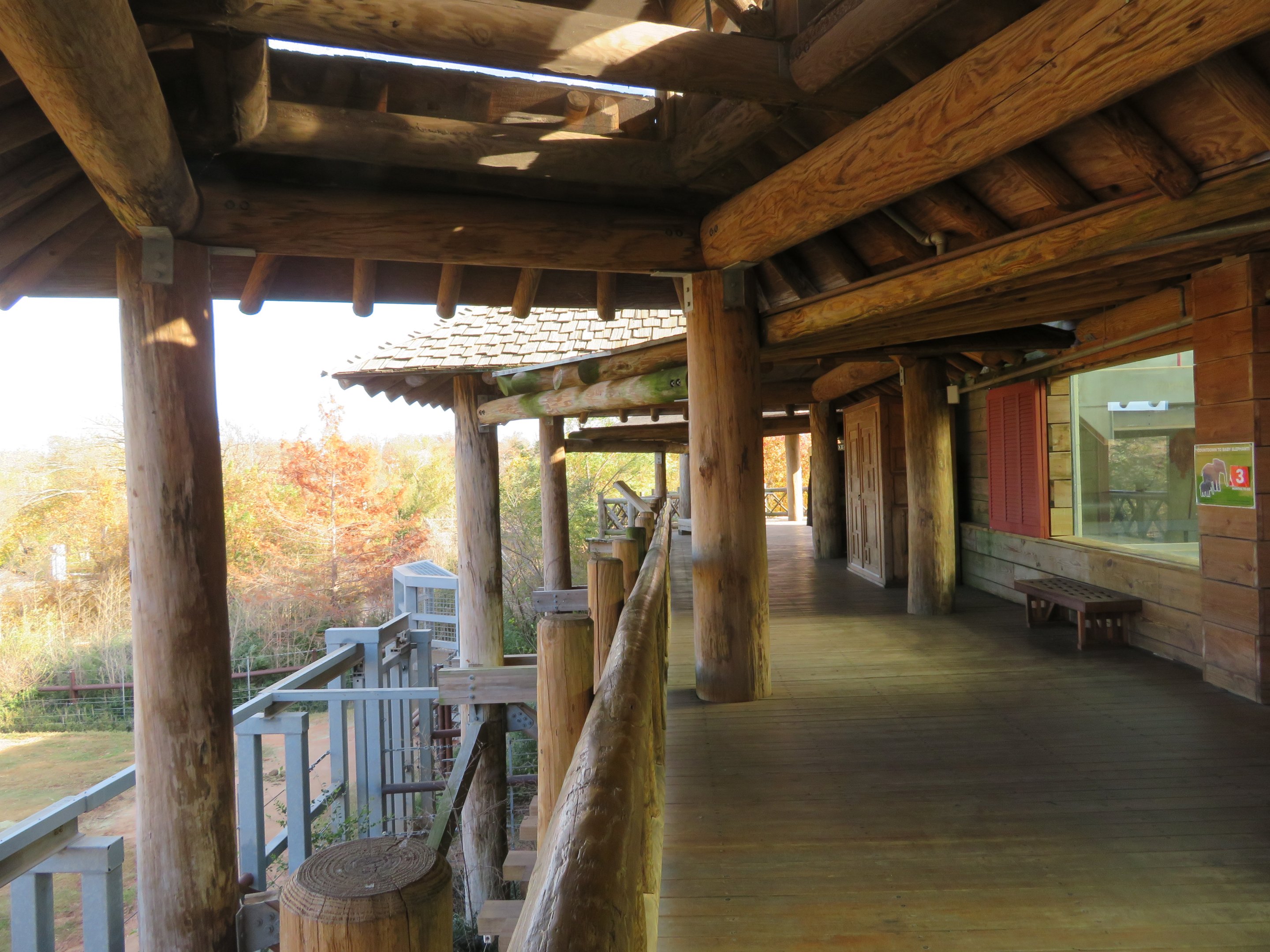 Asian Elephant Complex