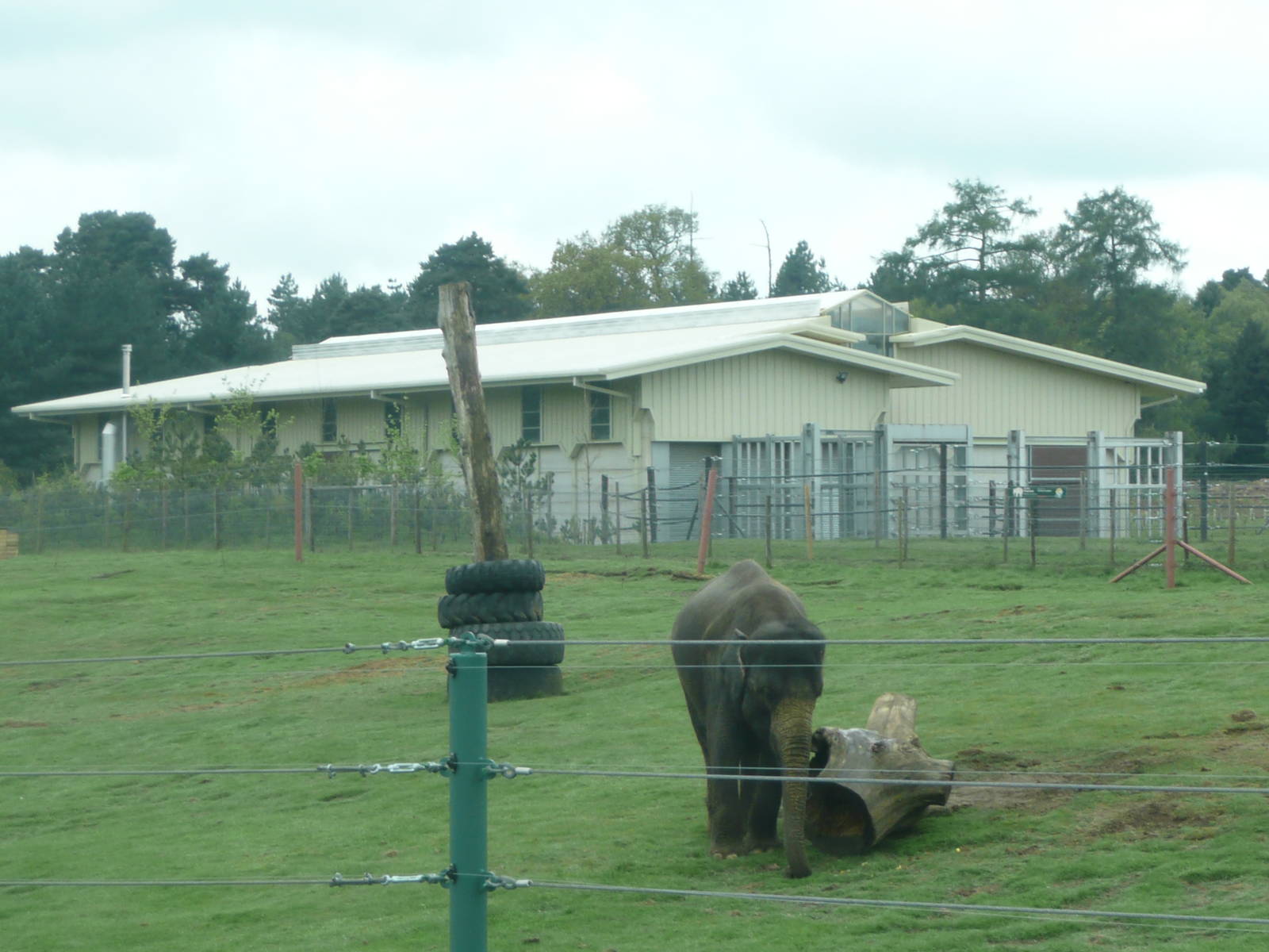 Asian Elephant Conservation Centre