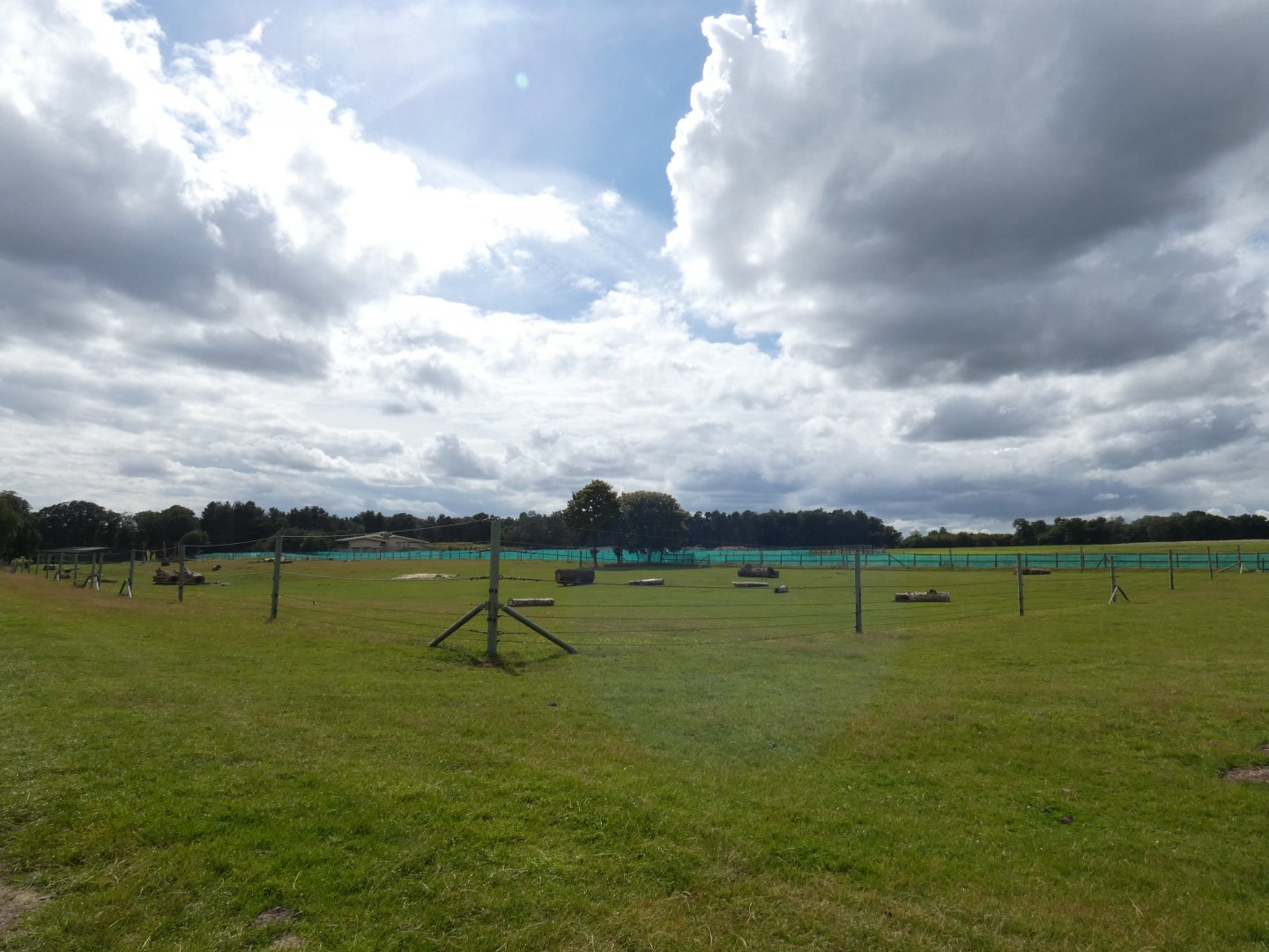 Asian Elephant cow enclosure (2)