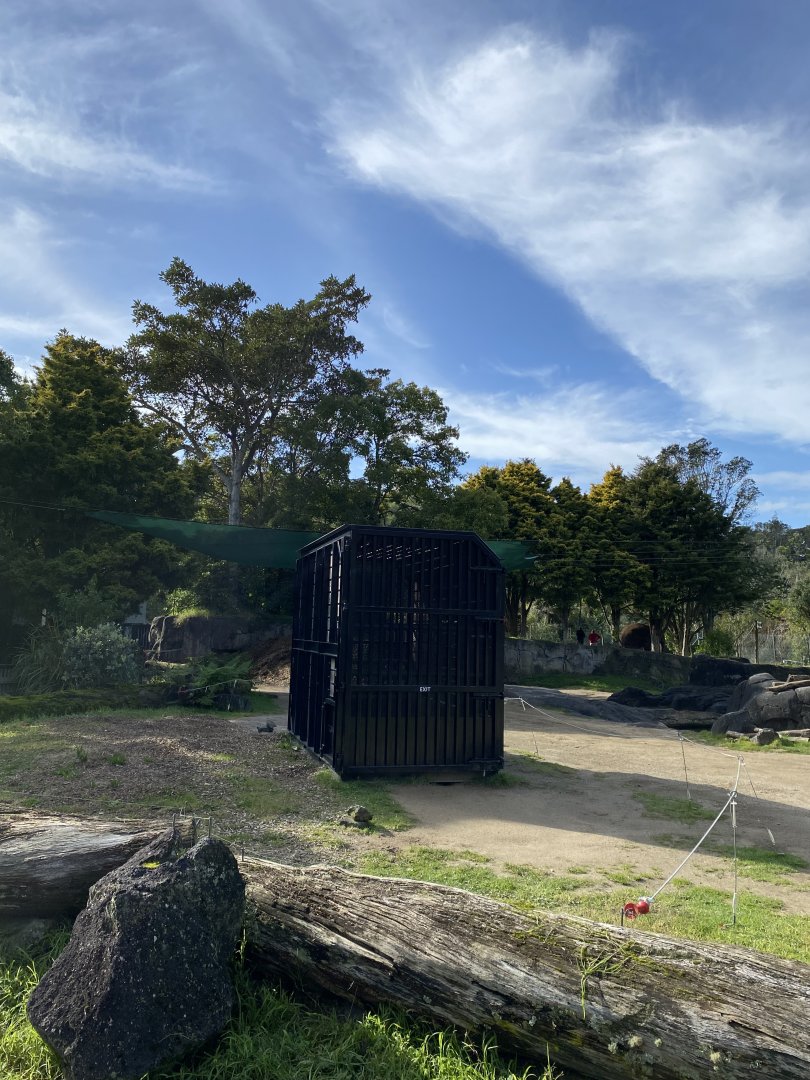 Asian Elephant Crate