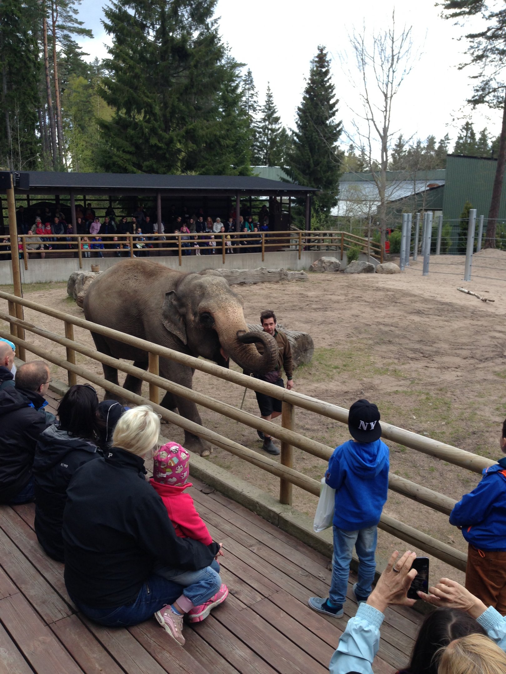 Asian elephant demonstration 2015