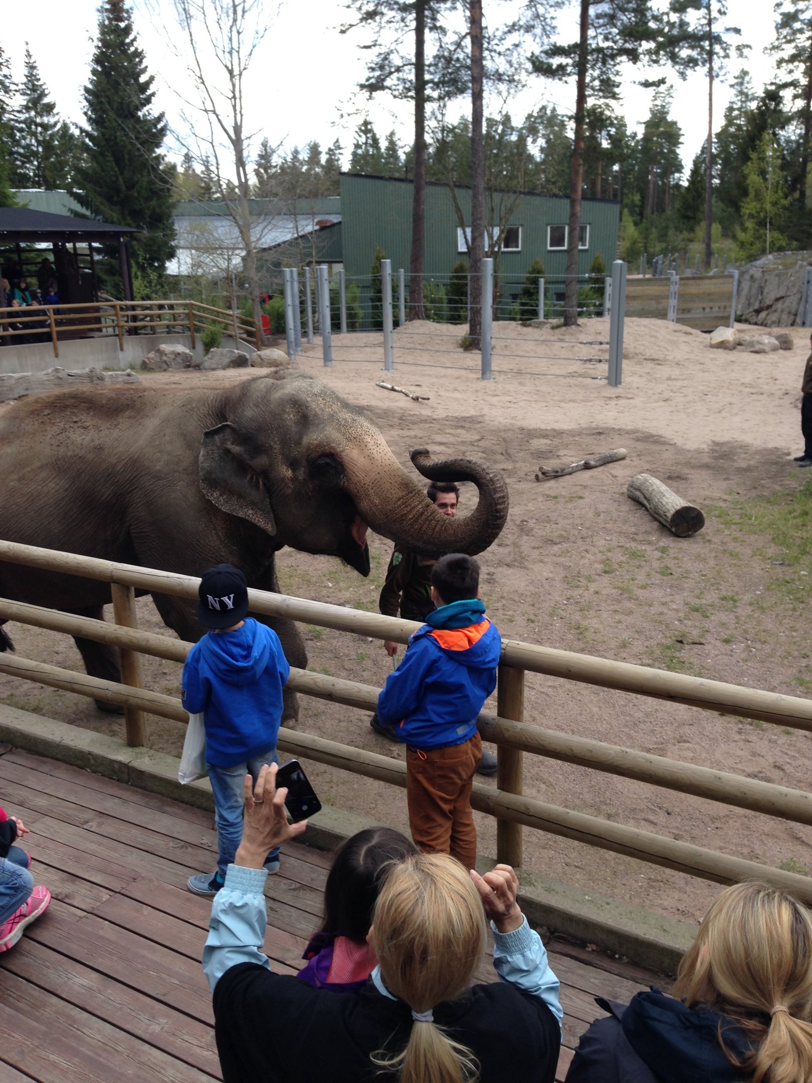 Asian elephant demonstration 2015