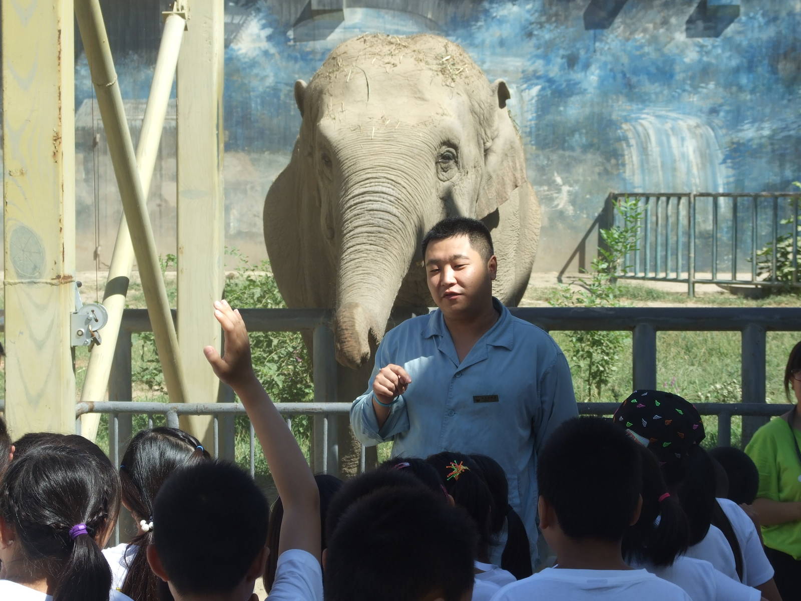 Asian elephant education