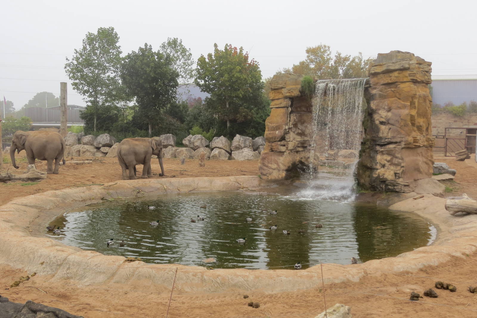 Asian Elephant Enclosure 031015
