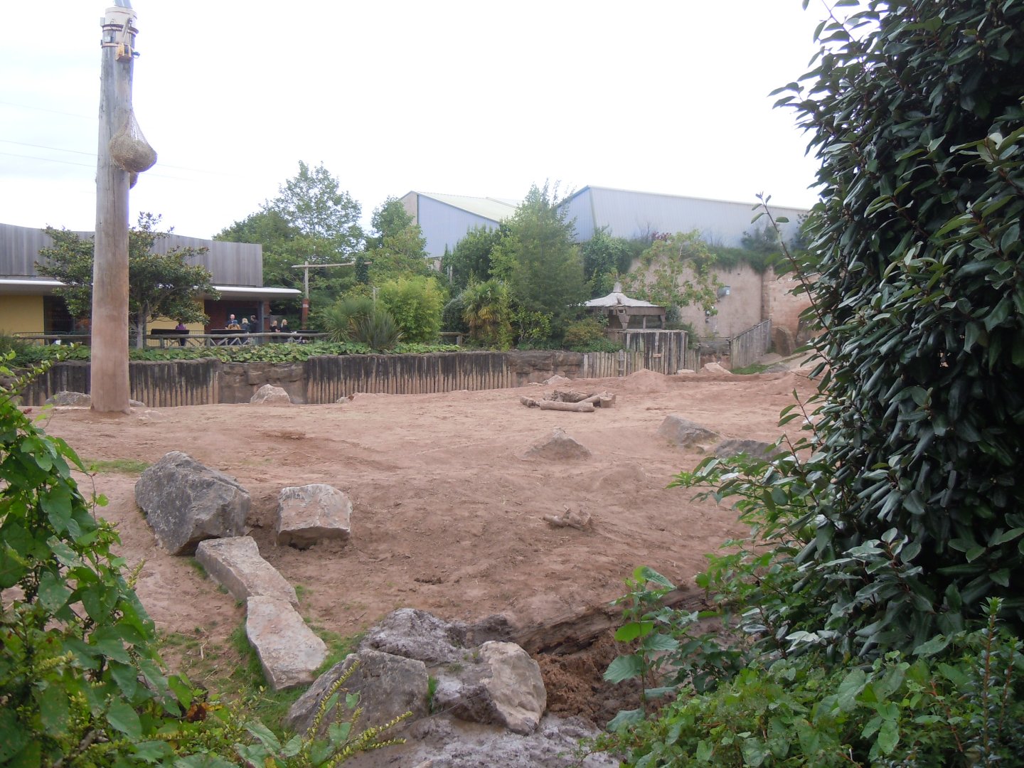 Asian elephant enclosure 110920