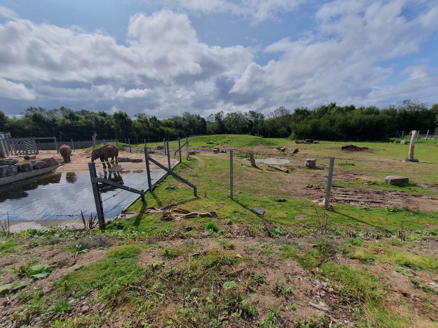 Asian Elephant enclosure 25/8/23