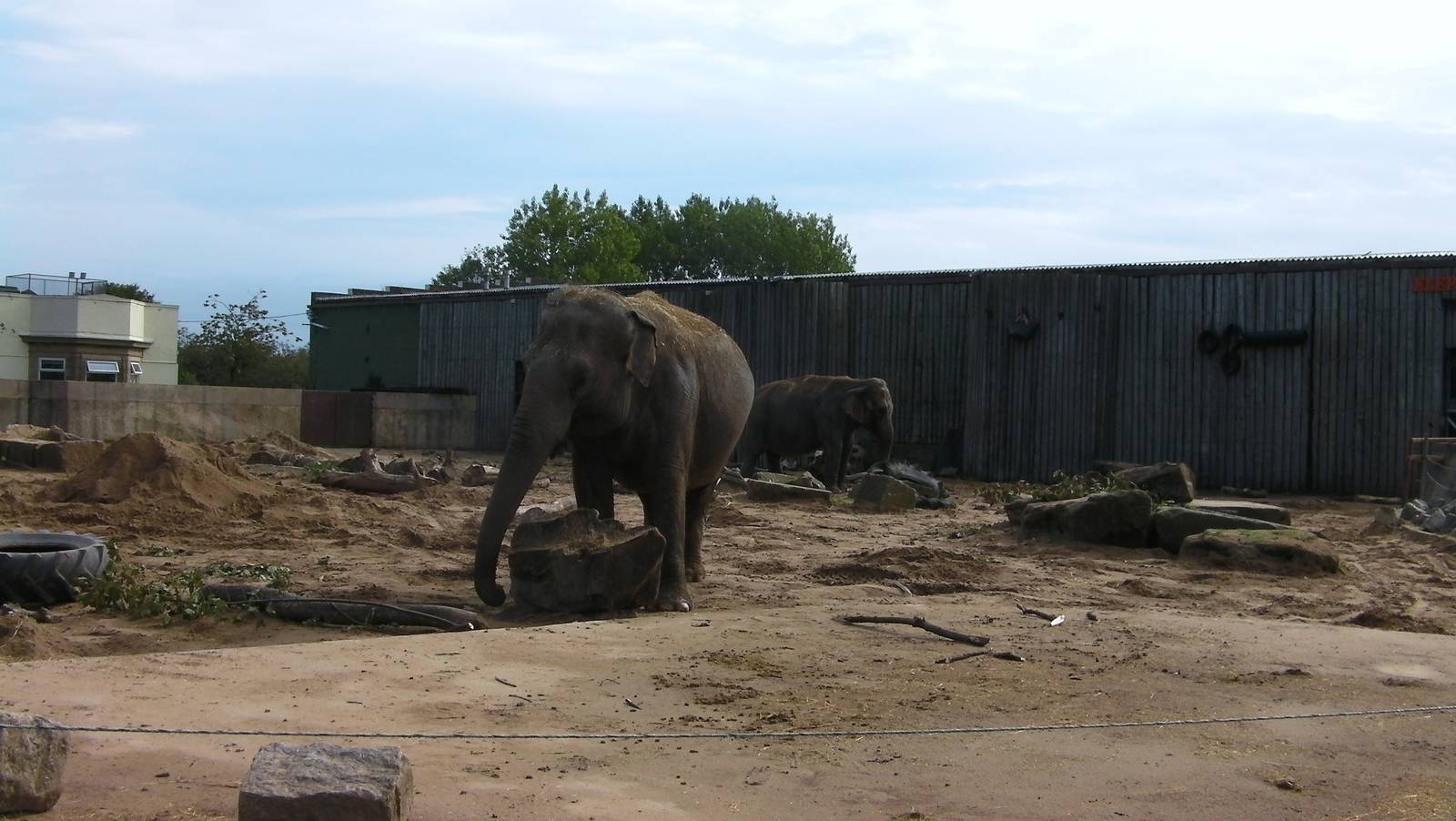 Asian Elephant Enclosure - 26.08.2011