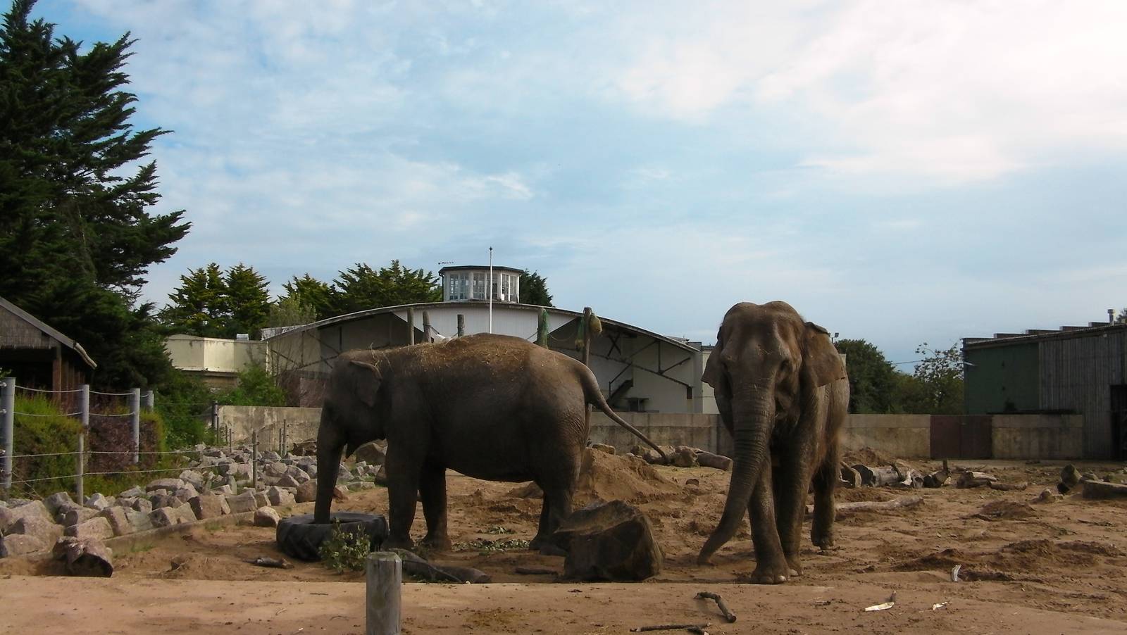 Asian Elephant Enclosure - 26.08.2011
