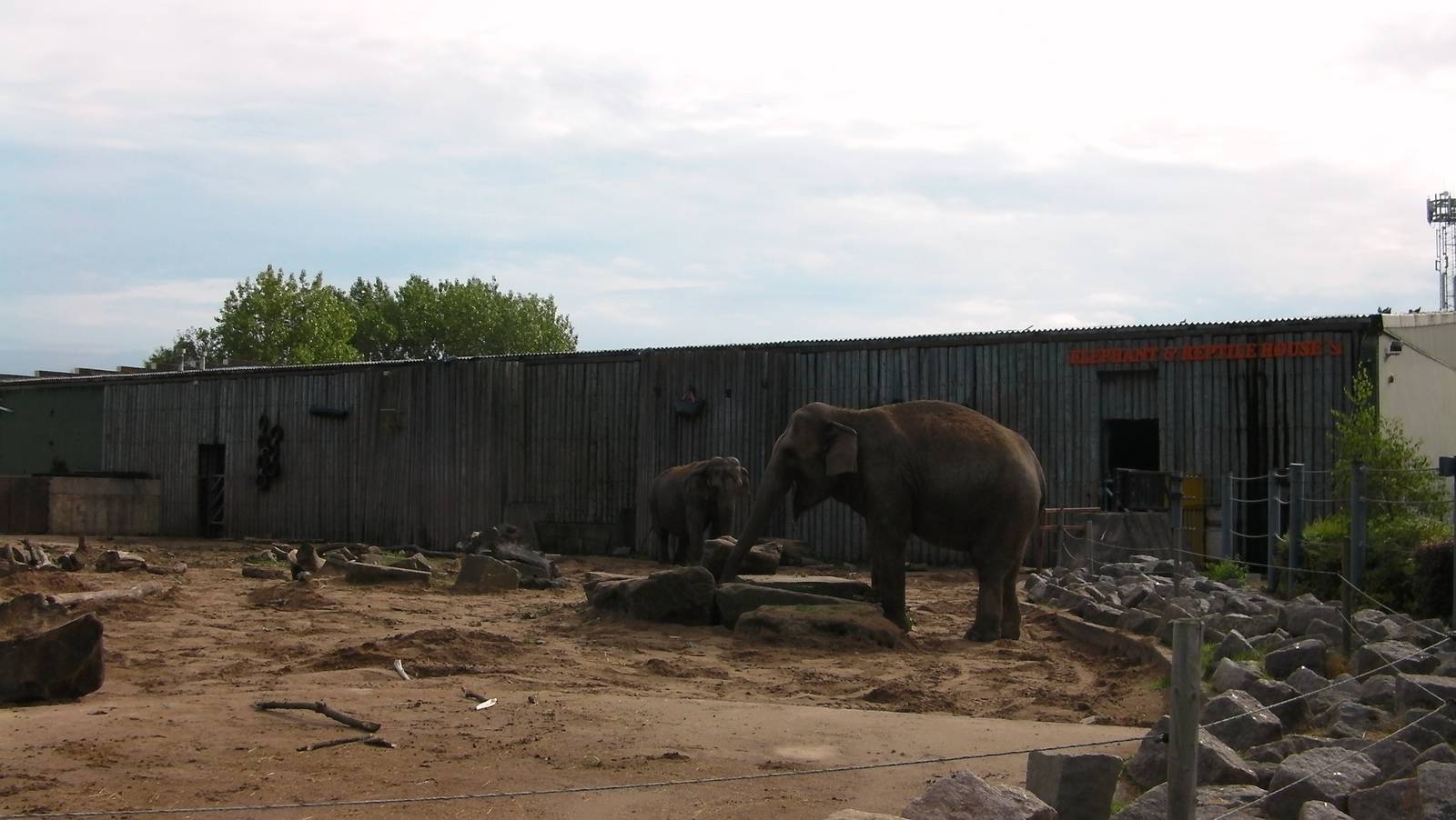 Asian Elephant Enclosure -26.08.2011
