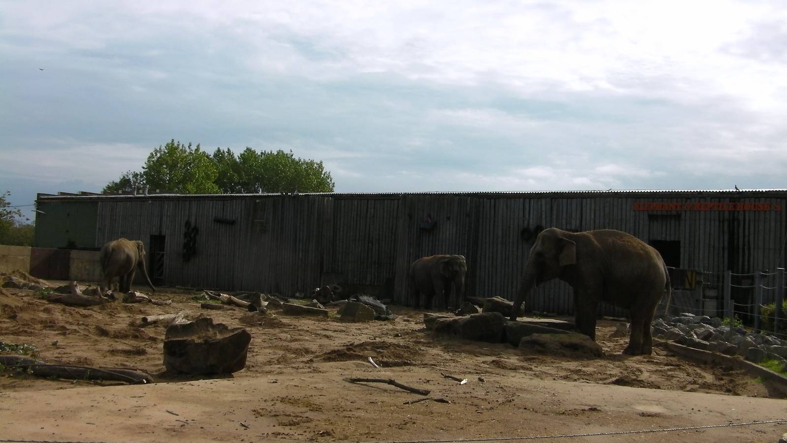 Asian Elephant Enclosure -26.08.2011