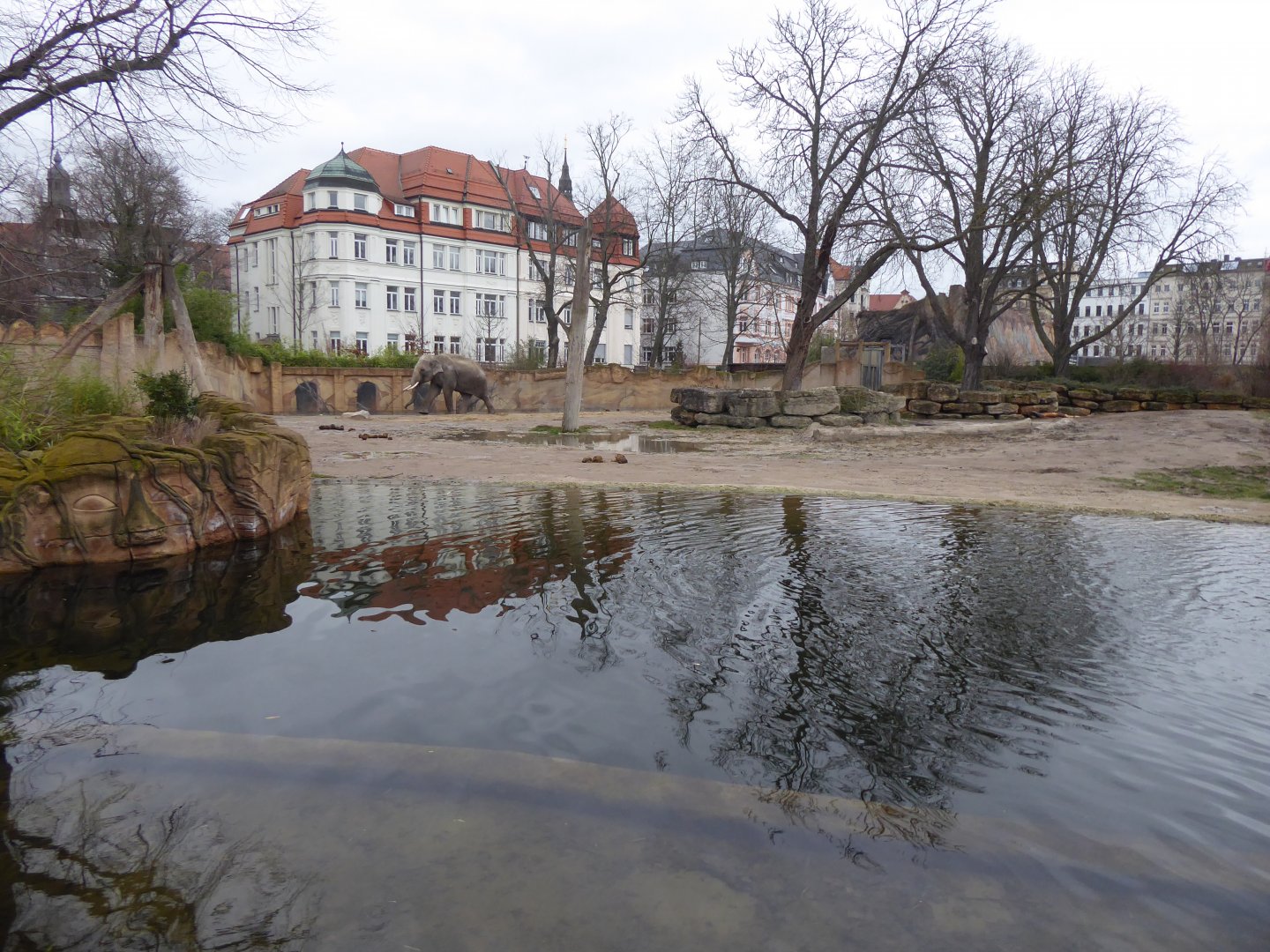 Asian elephant enclosure 280118