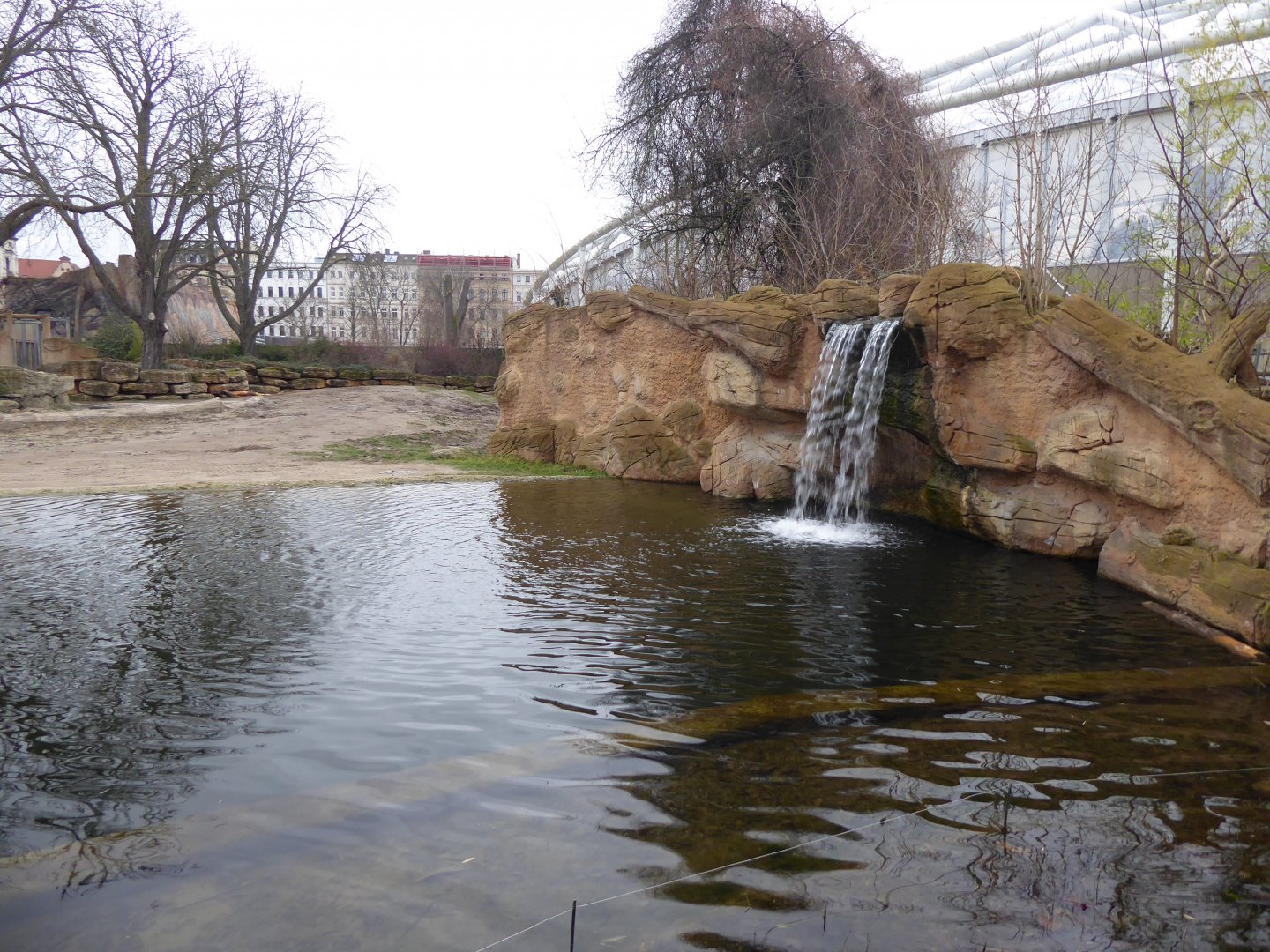 Asian elephant enclosure 280118