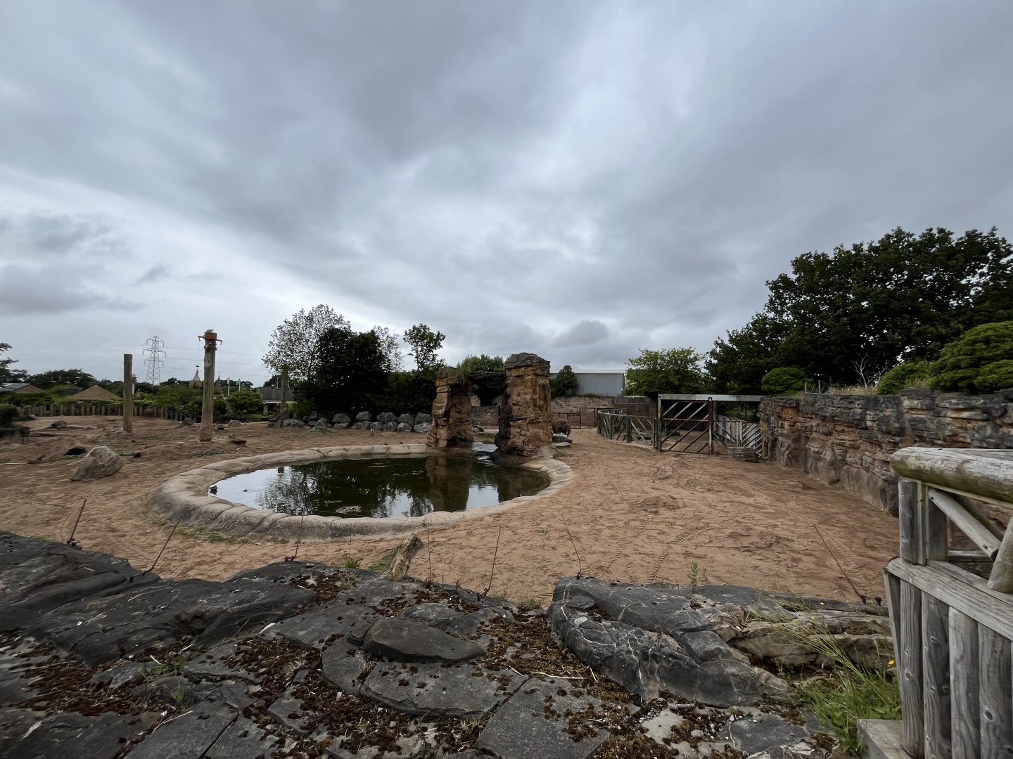 Asian elephant enclosure 29.6.24