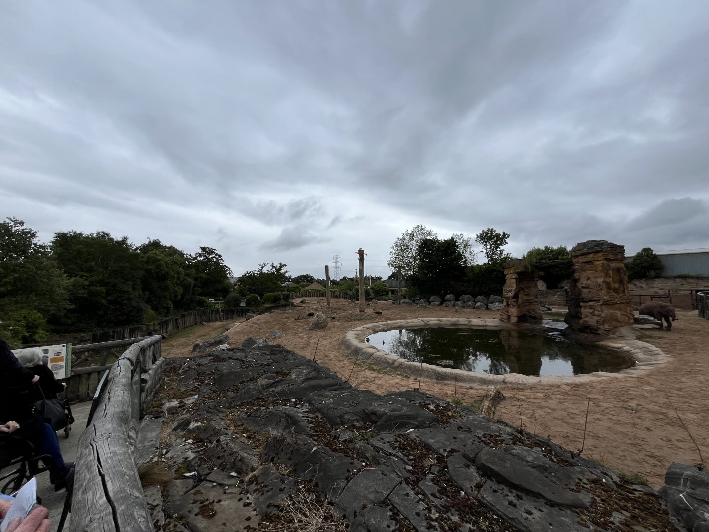 Asian elephant enclosure  29.6.24