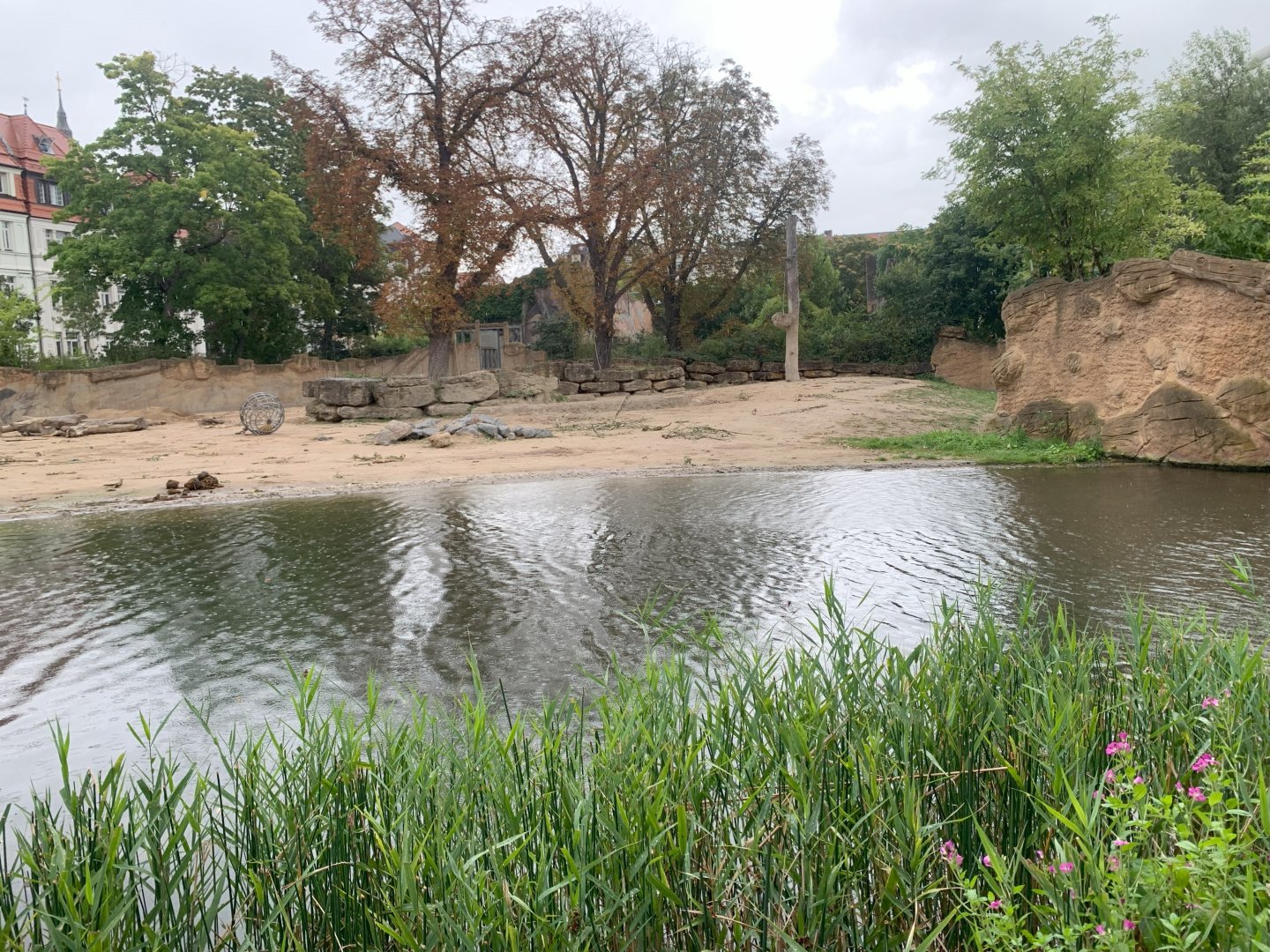 Asian Elephant enclosure - Asia