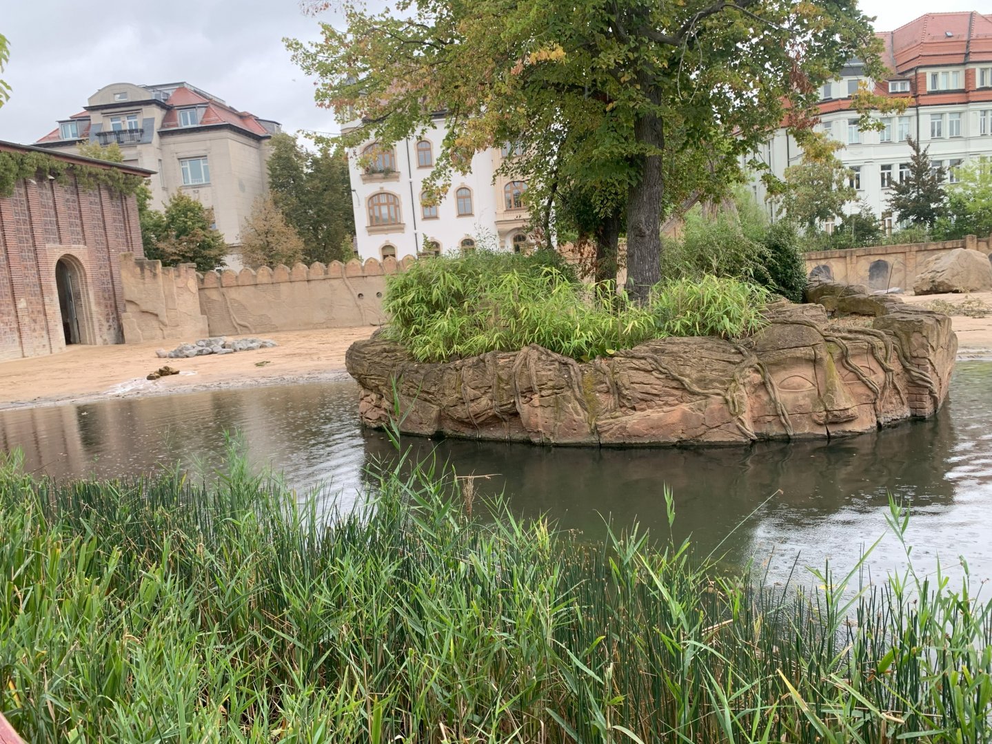 Asian Elephant enclosure - Asia