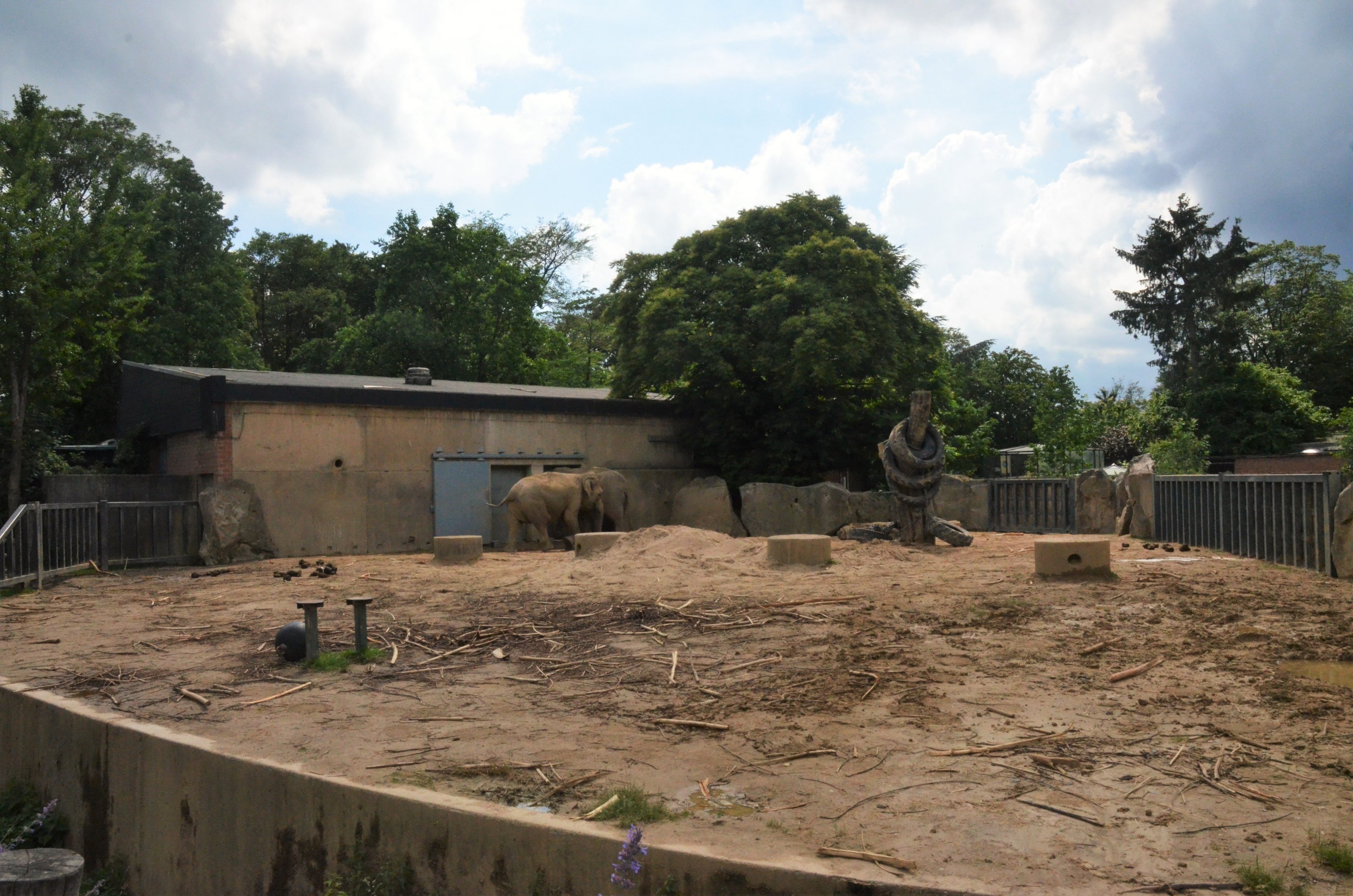 Asian Elephant Enclosure at Krefeld, 15/06/19