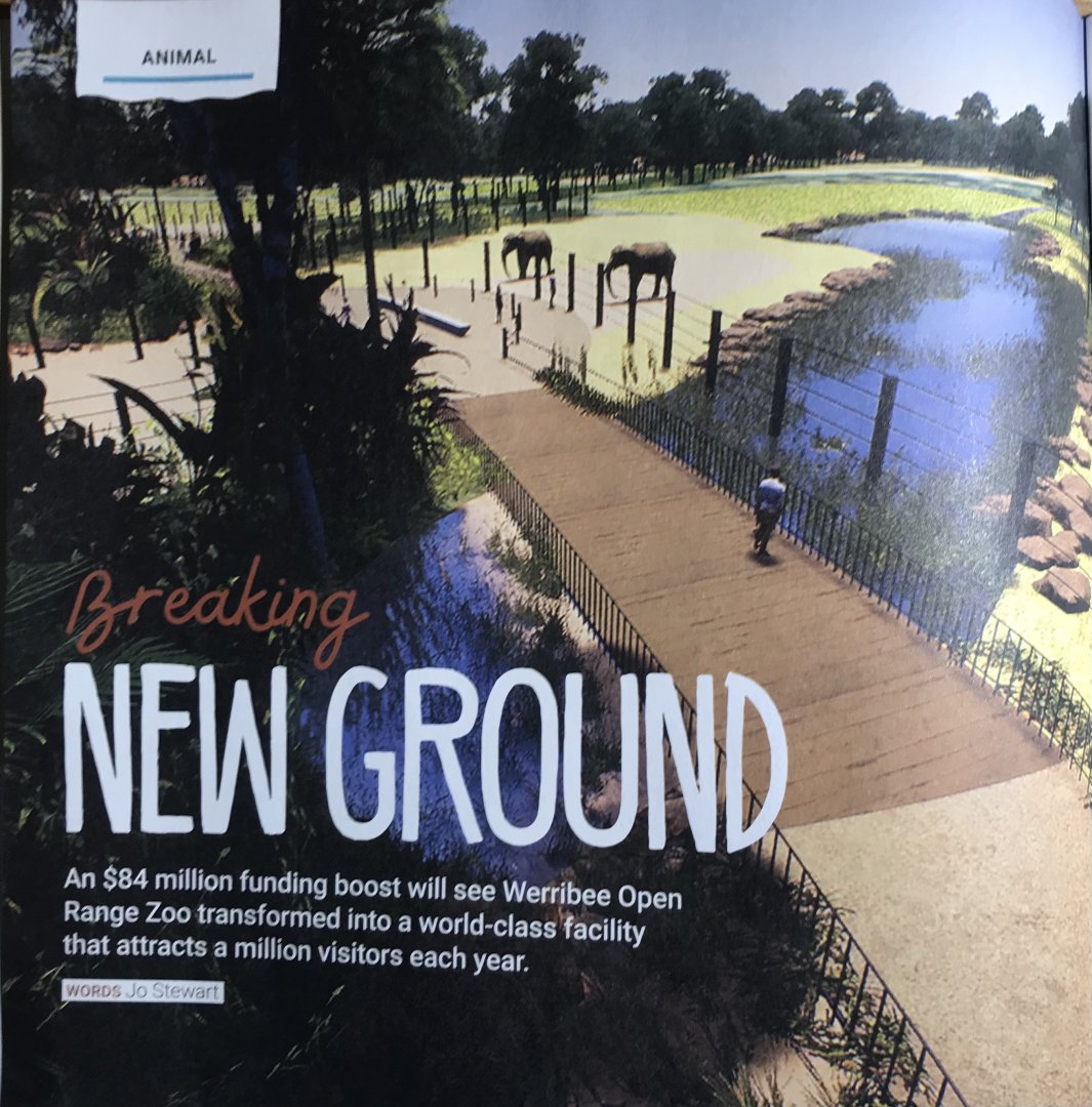 Asian Elephant Enclosure concept art