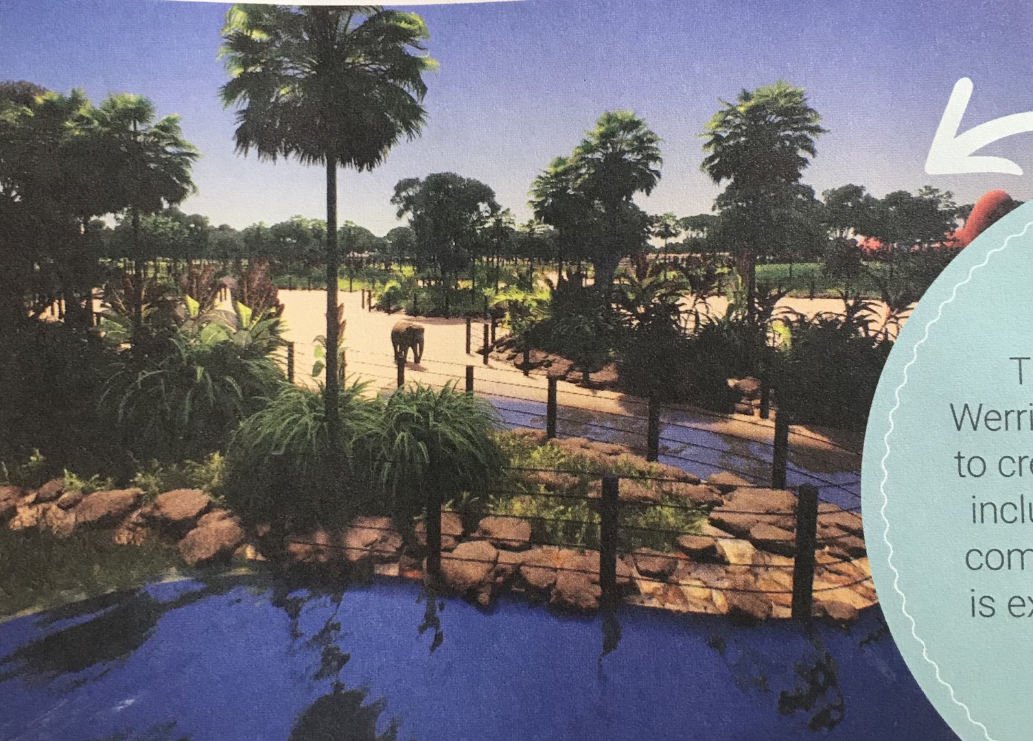 Asian Elephant Enclosure Concept Art