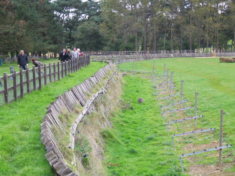 Asian Elephant enclosure fencing