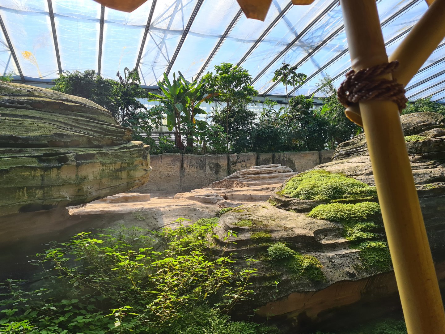 Asian elephant enclosure from Rimbula river boat ride
