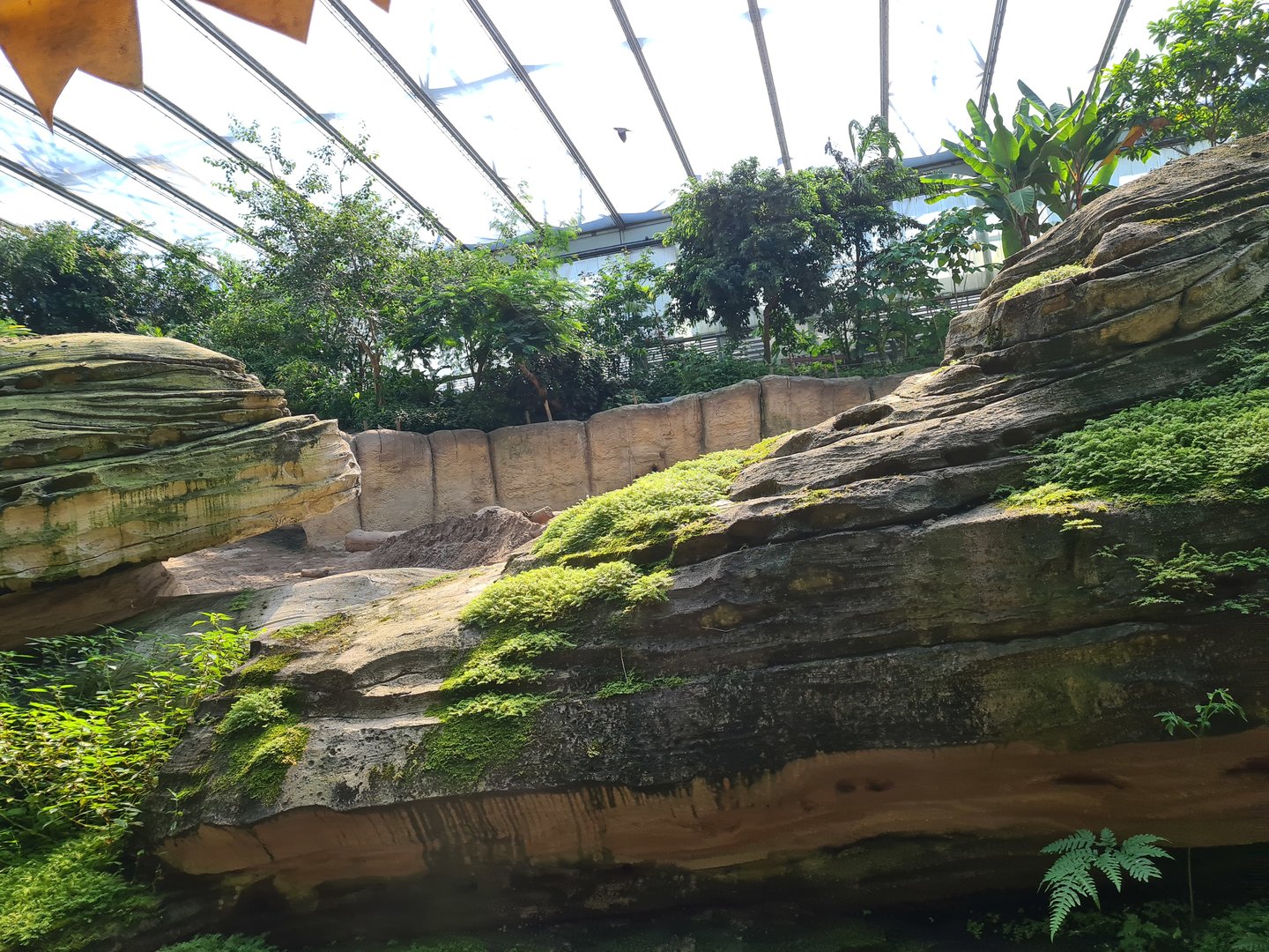 Asian elephant enclosure from Rimbula river boat ride