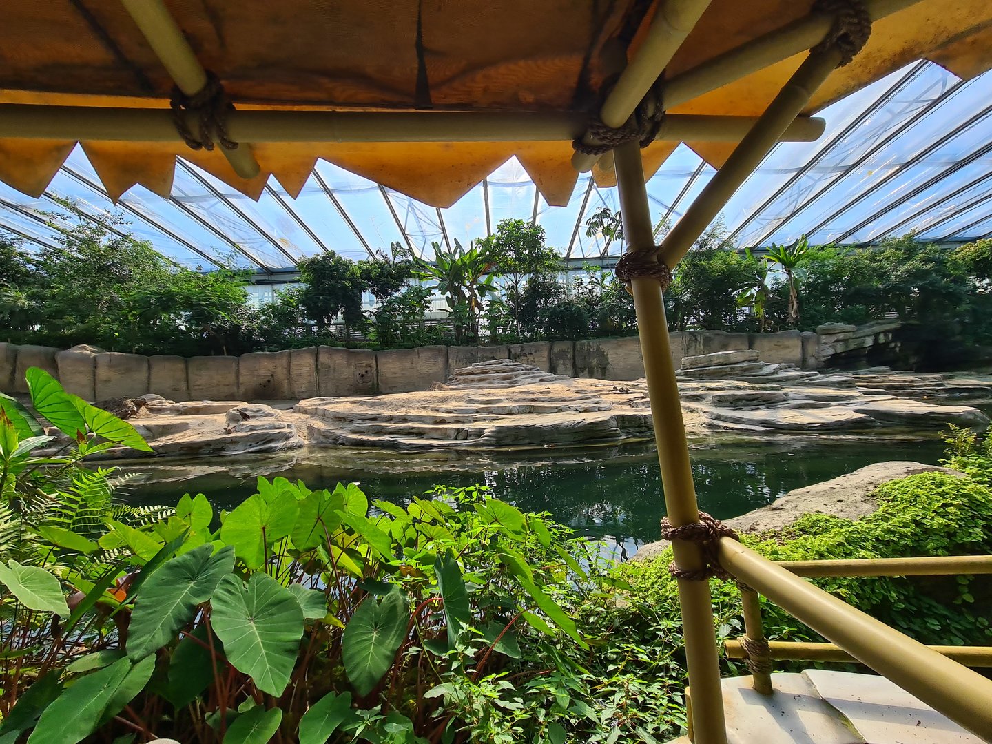 Asian elephant enclosure from Rimbula river boat ride
