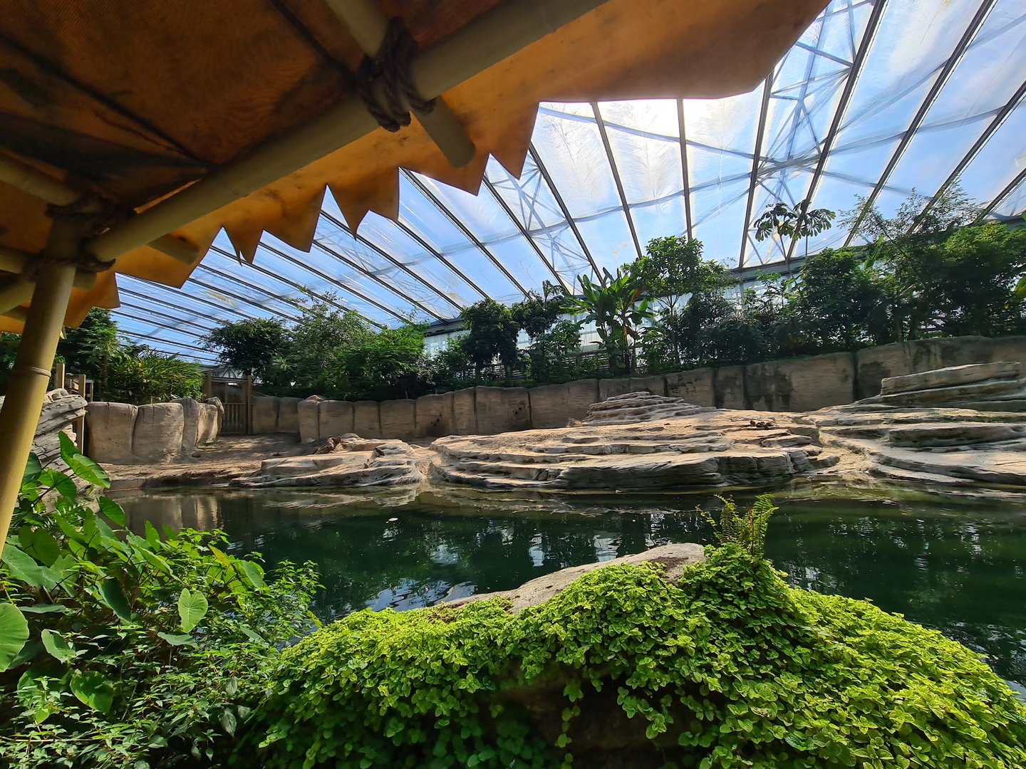 Asian elephant enclosure from Rimbula river boat ride