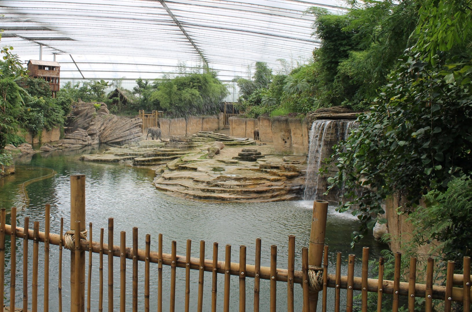 Asian elephant enclosure - Indoor