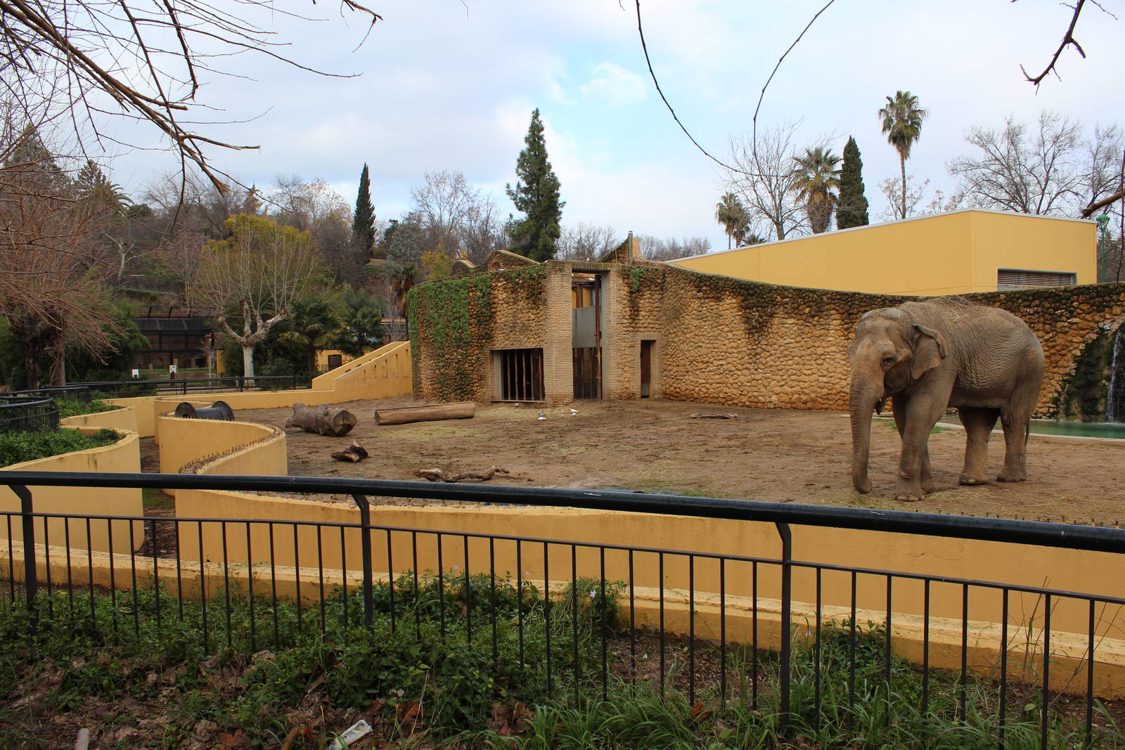 Asian Elephant Enclosure - Jan 2014