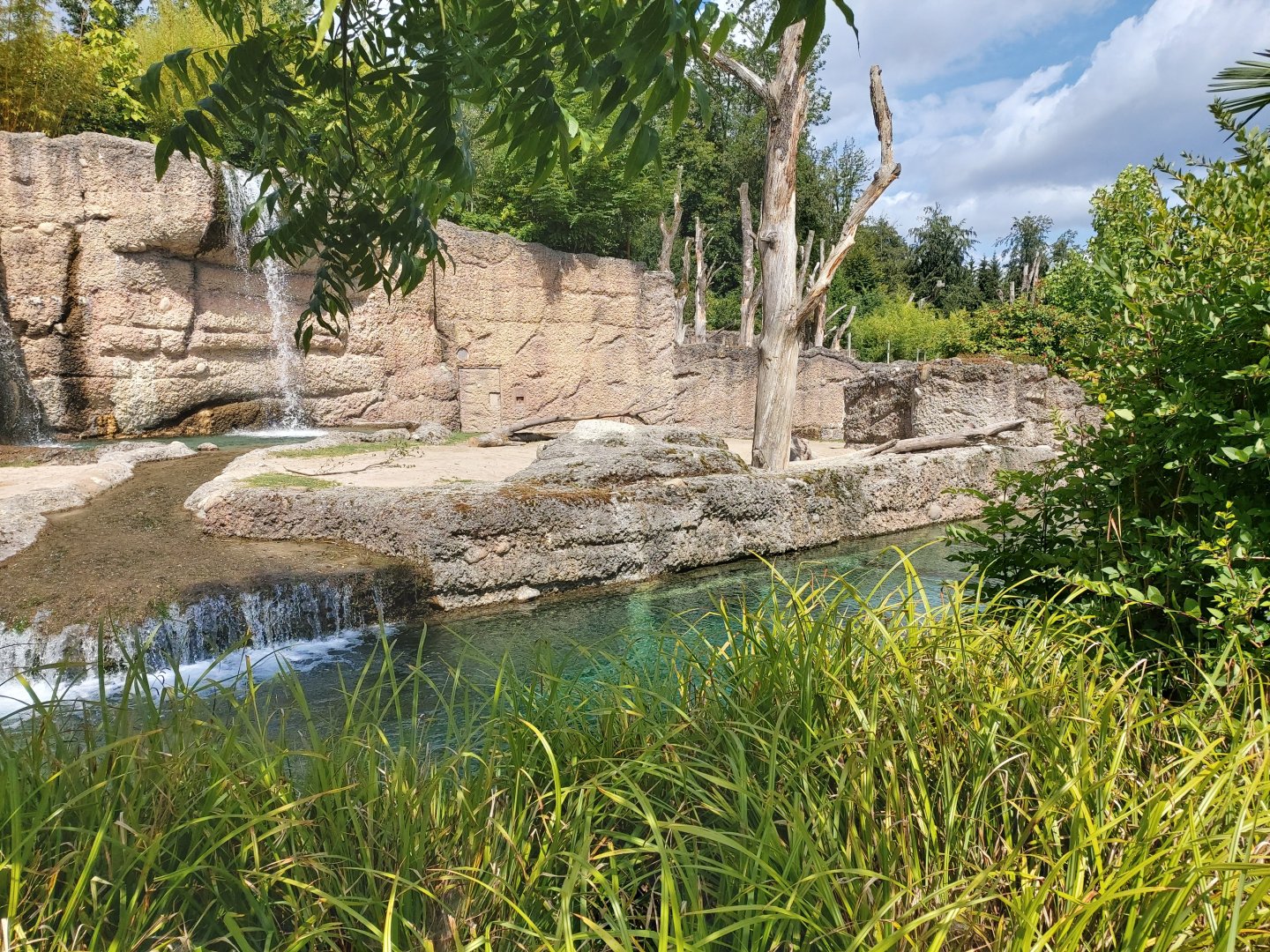 Asian elephant enclosure (July 2020)