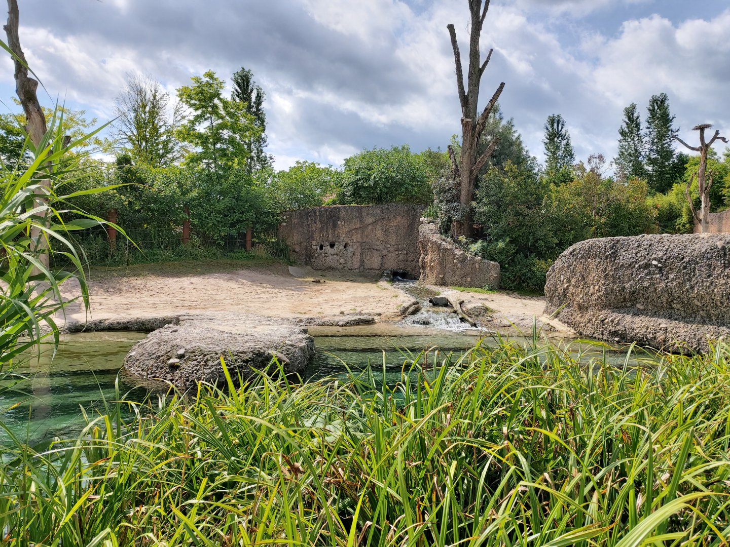 Asian elephant enclosure (July 2020)