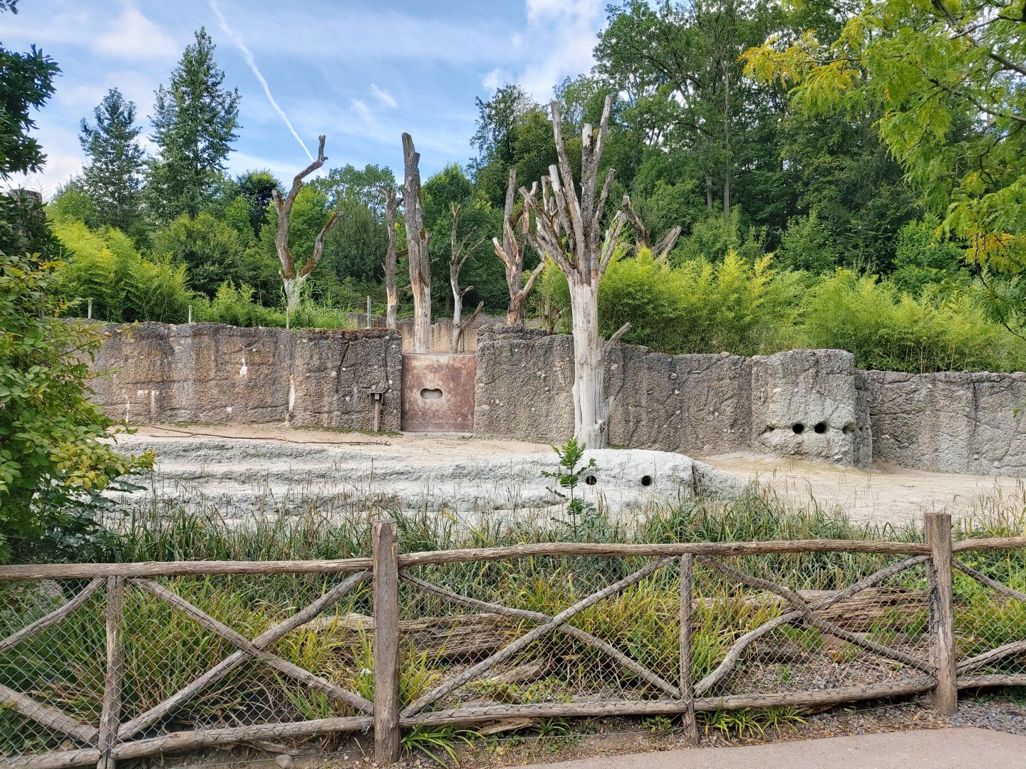 Asian elephant enclosure (July 2020)