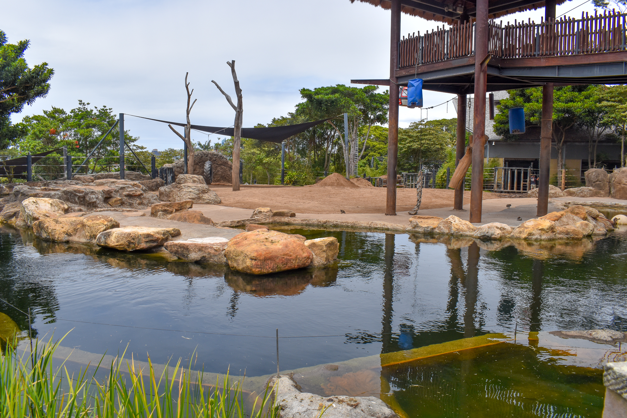 Asian Elephant Enclosure - main viewing area